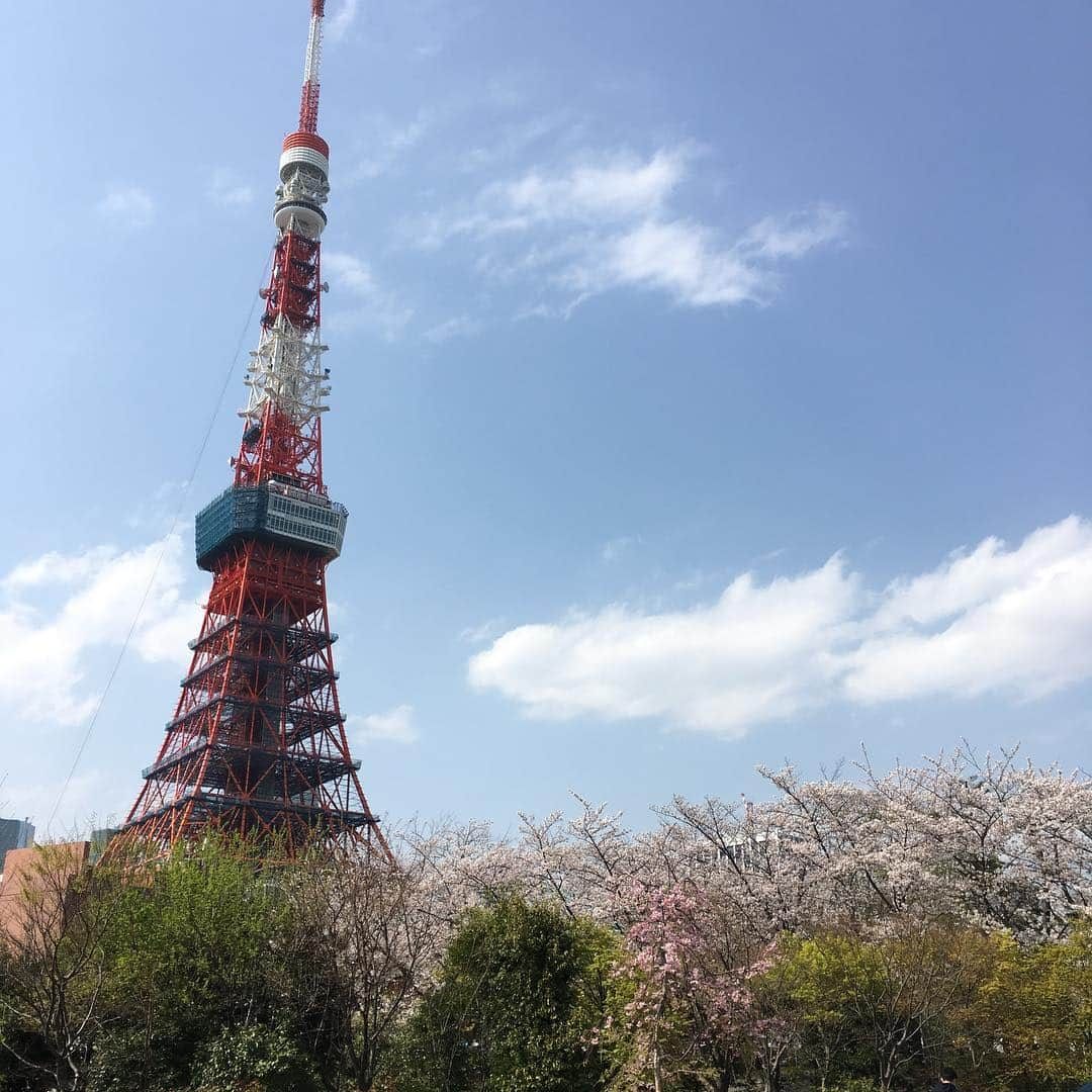 たちばな哲也さんのインスタグラム写真 - (たちばな哲也Instagram)「今日は束の間の、ちょい古友達とのお花見。」4月6日 18時25分 - itecchi