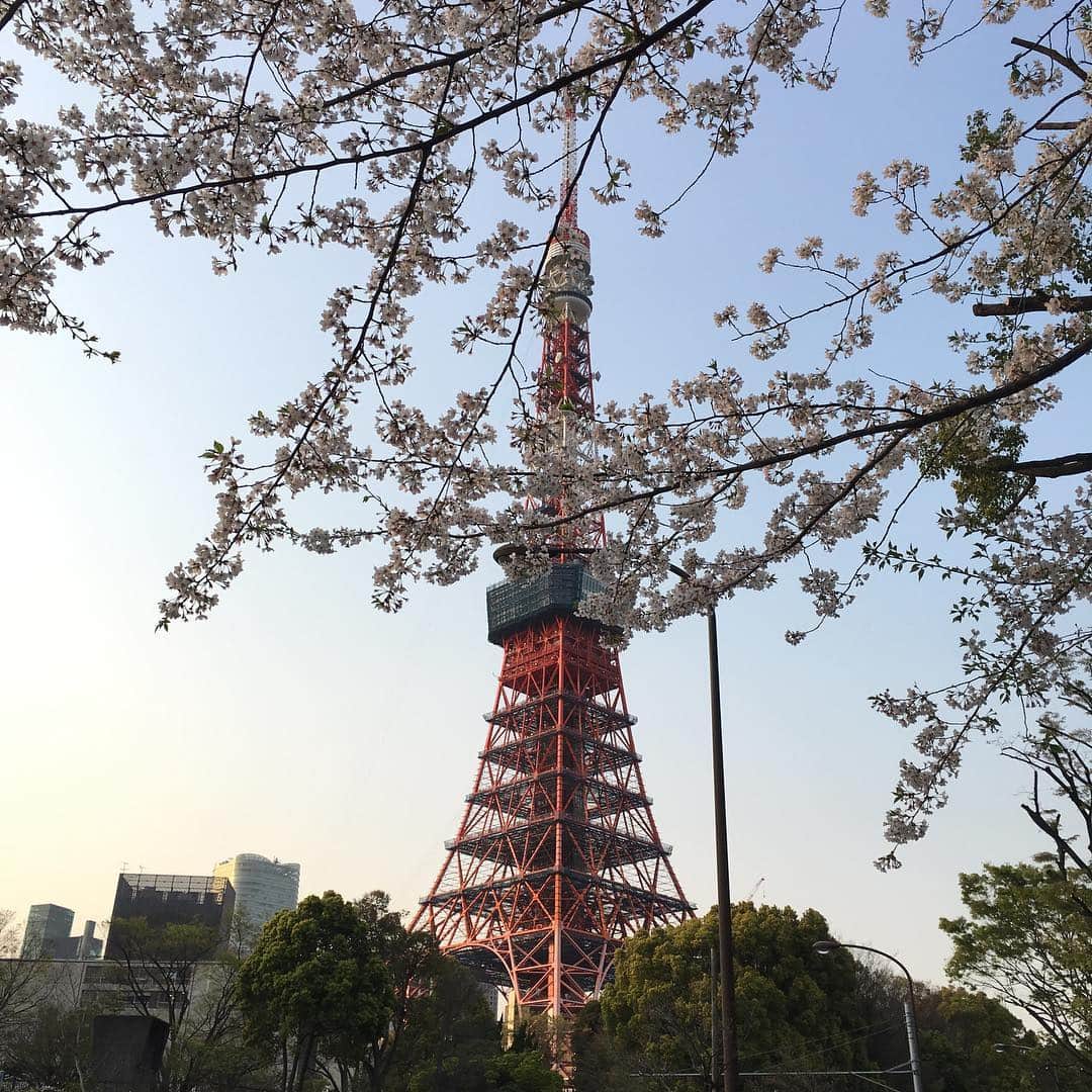 たちばな哲也さんのインスタグラム写真 - (たちばな哲也Instagram)「今日は束の間の、ちょい古友達とのお花見。」4月6日 18時25分 - itecchi