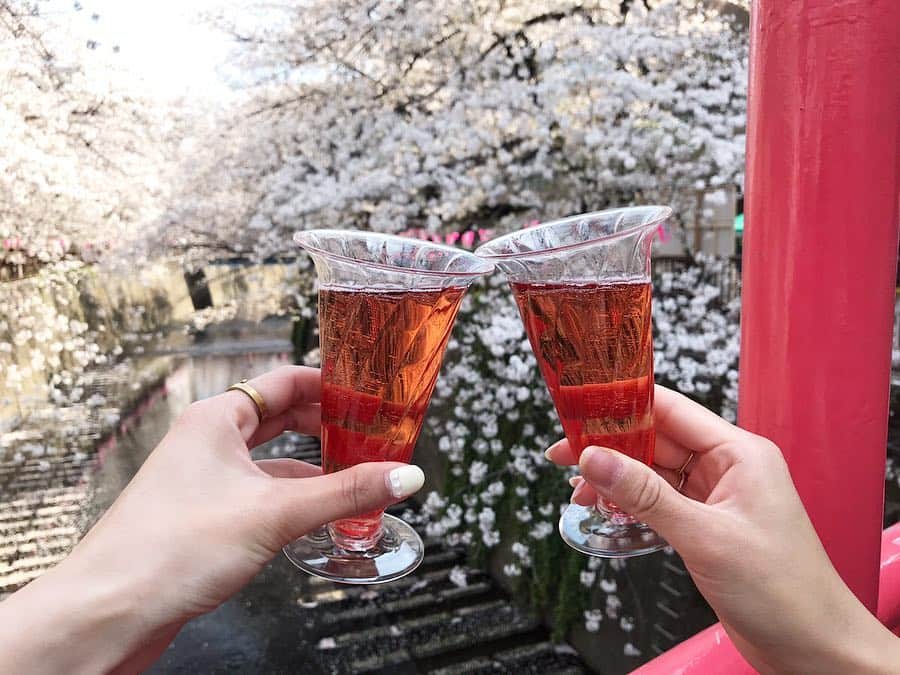 haruru0724さんのインスタグラム写真 - (haruru0724Instagram)「今日は @satoeri626 と 目黒川でお花見してきたよ♡ 今日は暖かくてお花見日和🌸 桜がとっても綺麗でした🌸 . . 桜祭りを開催中の目黒川沿いにある 中目黒ストールレストラン @stall_nakameguro で、ランチもしてきました💕 . . 販売数量フランス国内No.1の シャンパーニュ·メーカ 『ニコラ·フィアット』 @nicolasfeuillatte から新発売された限定ボトルを飲みました！ 私シャンパン苦手で、あまり飲んだことなかったのですが これは飲みやすくて美味しい！！😳✨ お酒好きのえりちゃんも 美味しいって言ってましたよ😂♡ しかも、ボトルには日本の桜が描かれていて 今の時期にピッタリ✨ お料理も美味しくて、贅沢な時間でした😌 . . 明日4/7までお店で飲めるみたいなので 是非行ってみて下さい♡ . . . #ニコラフィアット #stall_nakameguro #sakura #さくら #桜 #お花見 #目黒川の桜 #目黒川桜まつり #お花見デート #桜吹雪 #お花見日和 #カフェ巡り #cafe巡り #カフェ好き #カフェご飯 #カフェめぐり #中目黒カフェ #中目黒ランチ #中目黒 #中目黒グルメ #中目黒散歩 #目黒川桜 #カフェスタグラム #カフェ部 #シャンパン #mamagirl #インスタ映え #インスタ映えスポット #インスタ映えカフェ #フォトジェニック」4月6日 19時01分 - haruru0724