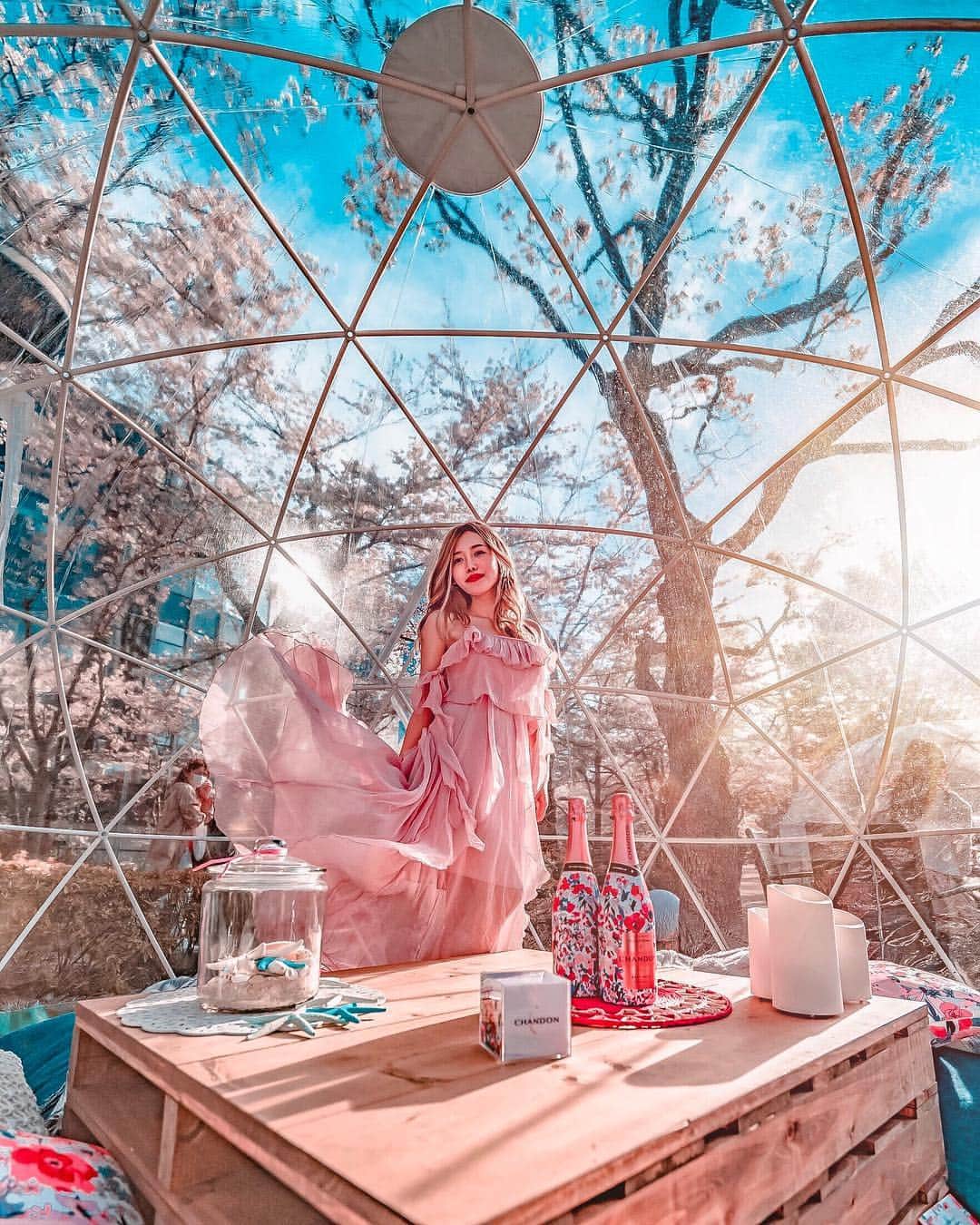 Stella Leeさんのインスタグラム写真 - (Stella LeeInstagram)「Visited Limited Hanami Event at Tokyo Midtown, Chandon Blossom Lounge 2019. Saw the cubes that reminded me of Finland Glass Igloo Hotel but instead of Aurora, I got sakura trees as the background instead . Unfortunately it’s only available limited time during sakura season and the reservation is definitely needed (but most of the time it’s fully booked due to high demand so I even had to be a walk in customer 😭) . Dress by @jjiahss  Shot using Sony A7Riii 16-35mm F2.8 GM #tokyomidtown #東京ミッドタウン #midtown_blossom #sakura #sakura2019 #roppongi #chandonblossomlounge #a7riii #1635gm #sony1635gm」4月6日 19時11分 - stellalee92