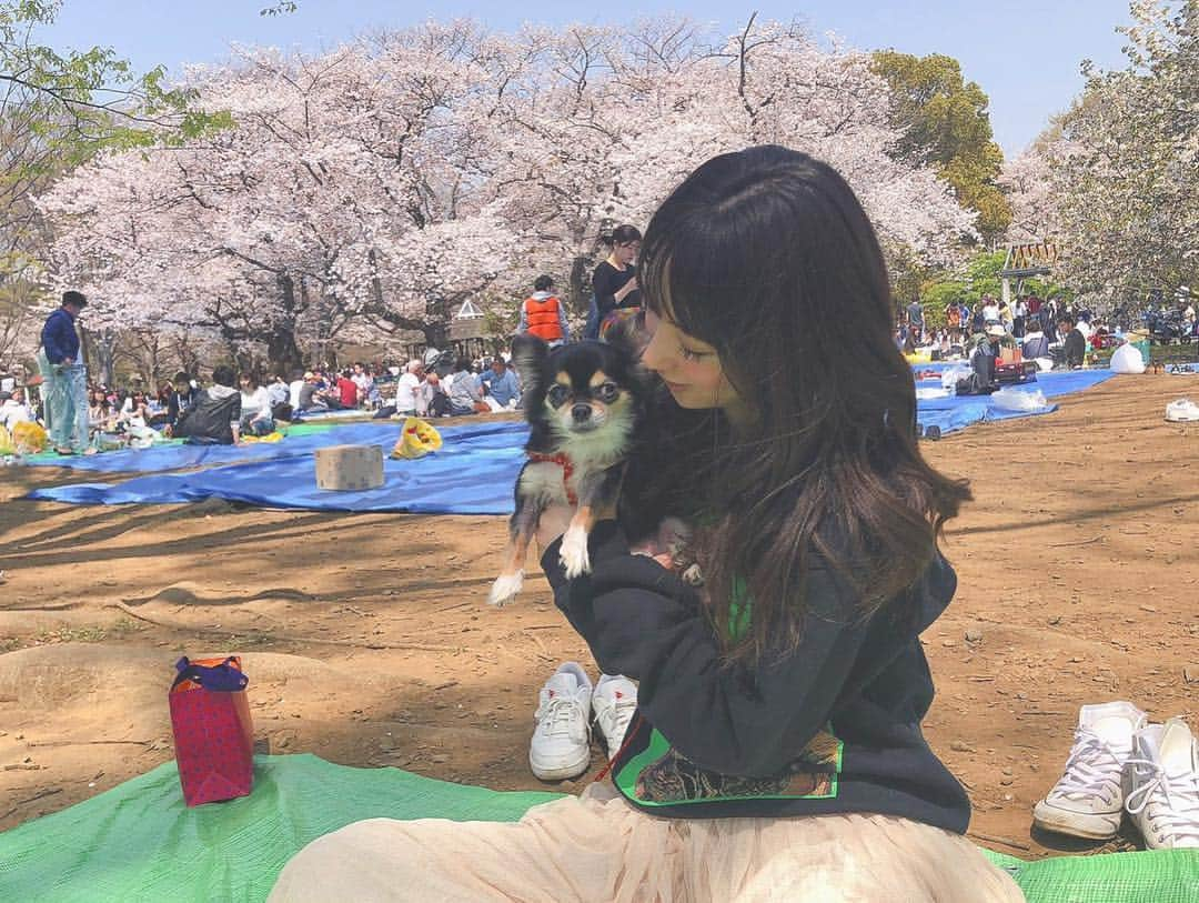 前田ゆうさんのインスタグラム写真 - (前田ゆうInstagram)「花見〜🌸 ゆったんがお弁当🍱つくってくれて、JKがお菓子🍪 ちゃんが🍙つくったよん🤩 あったかくってきもちよかったー🤩しかしらっちゃんと4人で花見してたら ルナルナ、あかねん、れいこっぷがつぎつぎあつまってきたー🥳🥳🥳 #sakura #花見 #代々木公園 #yoyogipark」4月6日 19時22分 - yuu_maeda