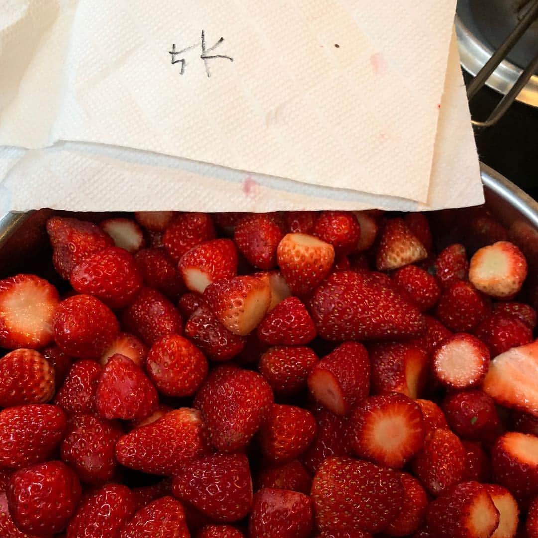 矢野きよ実さんのインスタグラム写真 - (矢野きよ実Instagram)「父ちゃんが市場で、8キロの 小さな間引きイチゴを買ってきたー！ やった！イチゴジャム作りだー それにしても小さな小さな美味しいイチゴ！ 48個くらい摘み食いしたところで 気付かれて叱られた(笑) #yanokiyomi #矢野きよ実 #イチゴジャム」4月6日 19時43分 - yanokiyomi