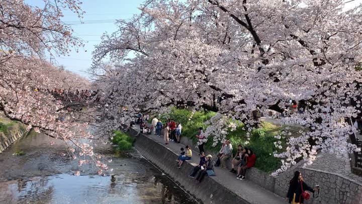 JAPANのインスタグラム