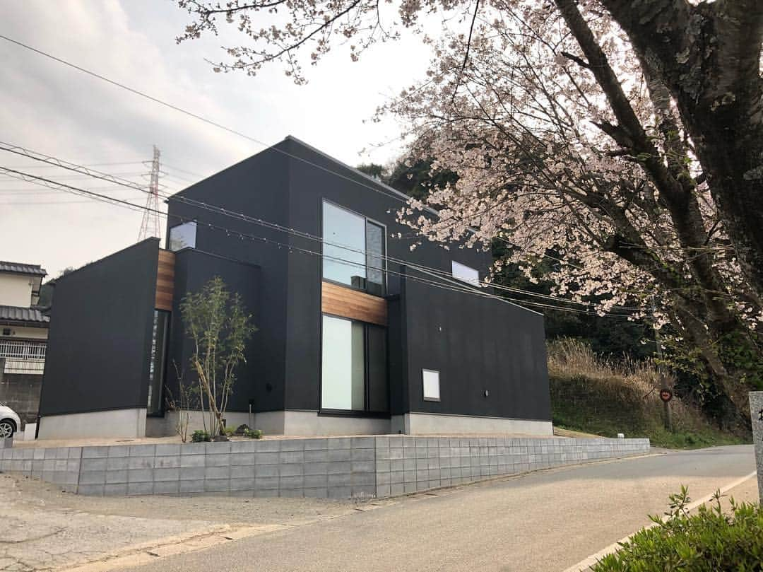 ナガタ建設さんのインスタグラム写真 - (ナガタ建設Instagram)「宇美町の 『桜の見える丘の家』  いよいよ桜の季節になりました😆  #桜 #素敵なお家 #桜の見える丘の家 ・ ｰｰｰｰｰｰｰｰｰｰｰｰｰｰｰｰｰｰｰｰｰｰｰｰｰｰｰｰｰｰ #外観  #リビング  #キッチン  #施工事例  他の写真はこちら...☞@nagatanoie ｰｰｰｰｰｰｰｰｰｰｰｰｰｰｰｰｰｰｰｰｰｰｰｰｰｰｰｰｰｰ ・ #ナガタ建設 は#福岡 県#太宰府 市にて70年前に製材所から始めた#工務店 です🏠 ・ 『 #ながたのいえ 』 ・ #暮らし から#デザイン する#家づくり を提案する私たちの家は ・ 『太宰府でアナタらしさをきづく家』 をテーマに#新築 #注文住宅 #マイホーム をお客様と一緒に作ります😆 ・ #無垢 材や#自然素材 をふんだんに使用した香り豊かな#木の家 や ・ #カフェ風 の#インテリア や #ナチュラルインテリア に囲まれた #かっこいい家 #おしゃれな家 で #暮らしを楽しむ こと、自分たちだけの#シンプルライフ を過ごしたいとお考えの方は、是非ともご相談ください😊一緒に理想の休日を実現させましょう！！ ・ ※ナガタ建設では、メンテナンスのことも考慮し、施工エリアを太宰府市の本社から車で30分圏内と限定させて頂いておりますm(__)m 施工エリア外のお客様については、個別対応となりますので、ご相談下さい。 ・ #福岡注文住宅 #丁寧な暮らし」4月6日 20時04分 - nagatanoie