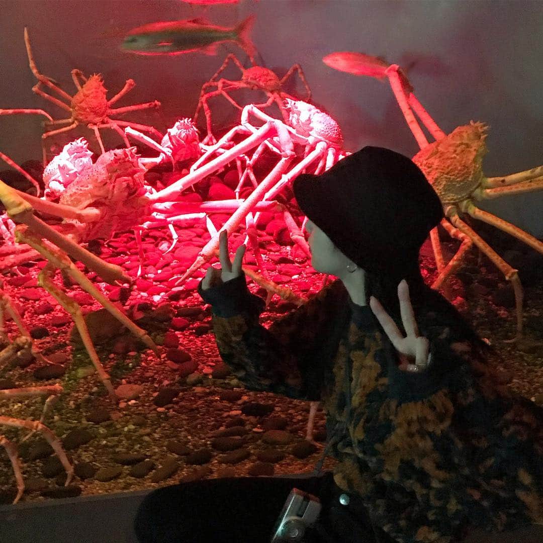 北澤舞悠（まゆちる）のインスタグラム：「🦀」