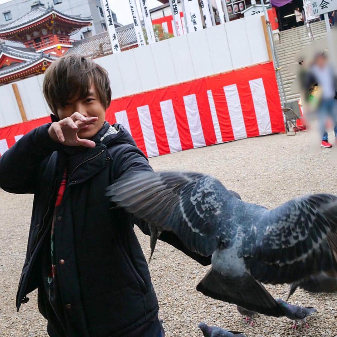 木村良平さんのインスタグラム写真 - (木村良平Instagram)「鳩と戯れる男たち。 #小野賢章がゆく旅友」4月6日 20時34分 - ryouhey_drunk
