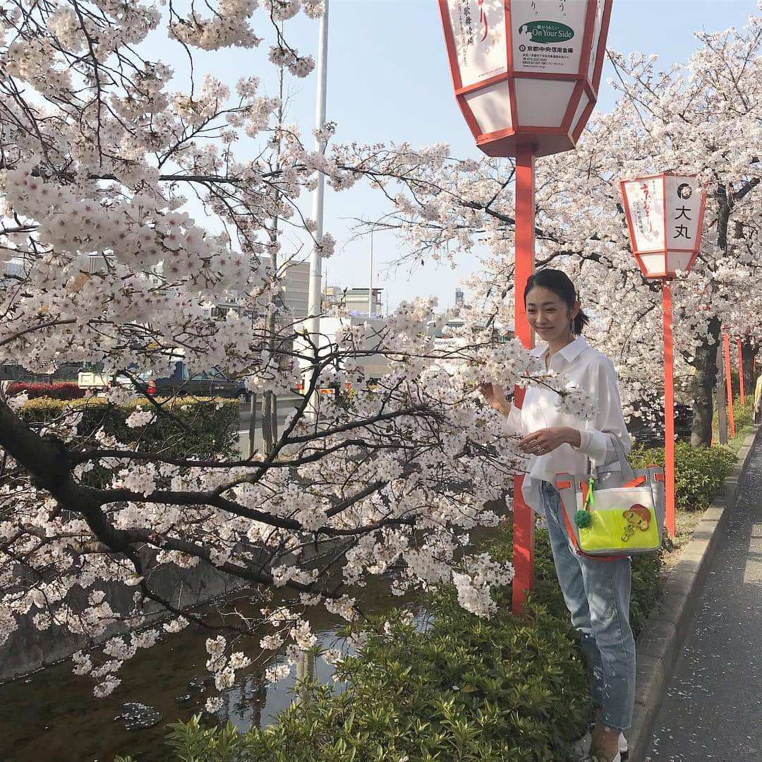 木本泉さんのインスタグラム写真 - (木本泉Instagram)「-﻿ タイミング良く満開でラッキー🤞﻿ ﻿ 2人でお散歩しながらお花見🌸﻿ ﻿ 京都の良さを更に感じます😌﻿ ﻿ #桜#cherryblossom #満開#四条#京都#春#spring#高瀬川」4月6日 20時26分 - izumikimoto