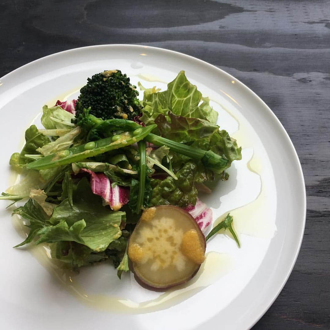 沢瀉美緒さんのインスタグラム写真 - (沢瀉美緒Instagram)「※ Salad 🥗 lunch💛 . 出張が続くとどうしても お野菜が不足します… . イチゴを食べたりしてみるんですが 生野菜が食べたくなって . 見つけたお店でランチ🥒🍅🥕 . . ドレッシング、美味しかったなぁ💛 . . #hiroshima #広島 #広島ランチ #イタリアン #サラダ #ミオログ」4月6日 20時30分 - mio_omodaka