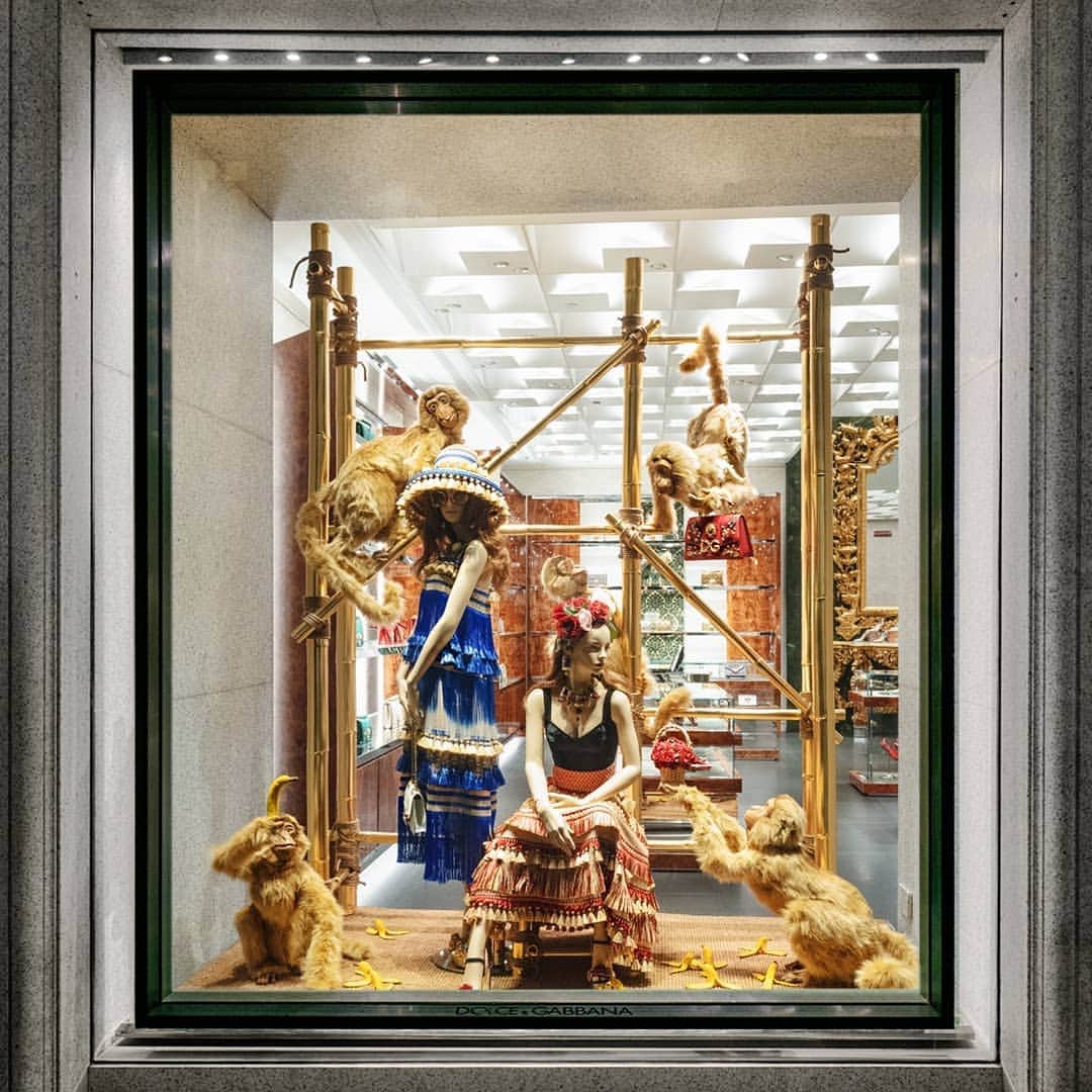 ドルチェ&ガッバーナさんのインスタグラム写真 - (ドルチェ&ガッバーナInstagram)「It's playtime in Milan's via Montenapoleone boutique. Discover the #DGWomen collection, displayed together with affectionate macaque monkeys.  #DGFattoAMano #DGAmore #DGDolceBox #DGEyewear」4月7日 2時01分 - dolcegabbana