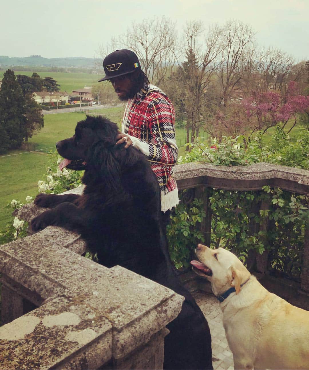 ジェルヴィーニョさんのインスタグラム写真 - (ジェルヴィーニョInstagram)「🐶 🐕  The men’s best friend ⚪️⚫️ ____________________________________________________  #dog #dogsofinstagram #blackandwhite #black #white #happysaturday #insta #picoftheday #teamg27 #team225」4月7日 2時02分 - gervinhofficial