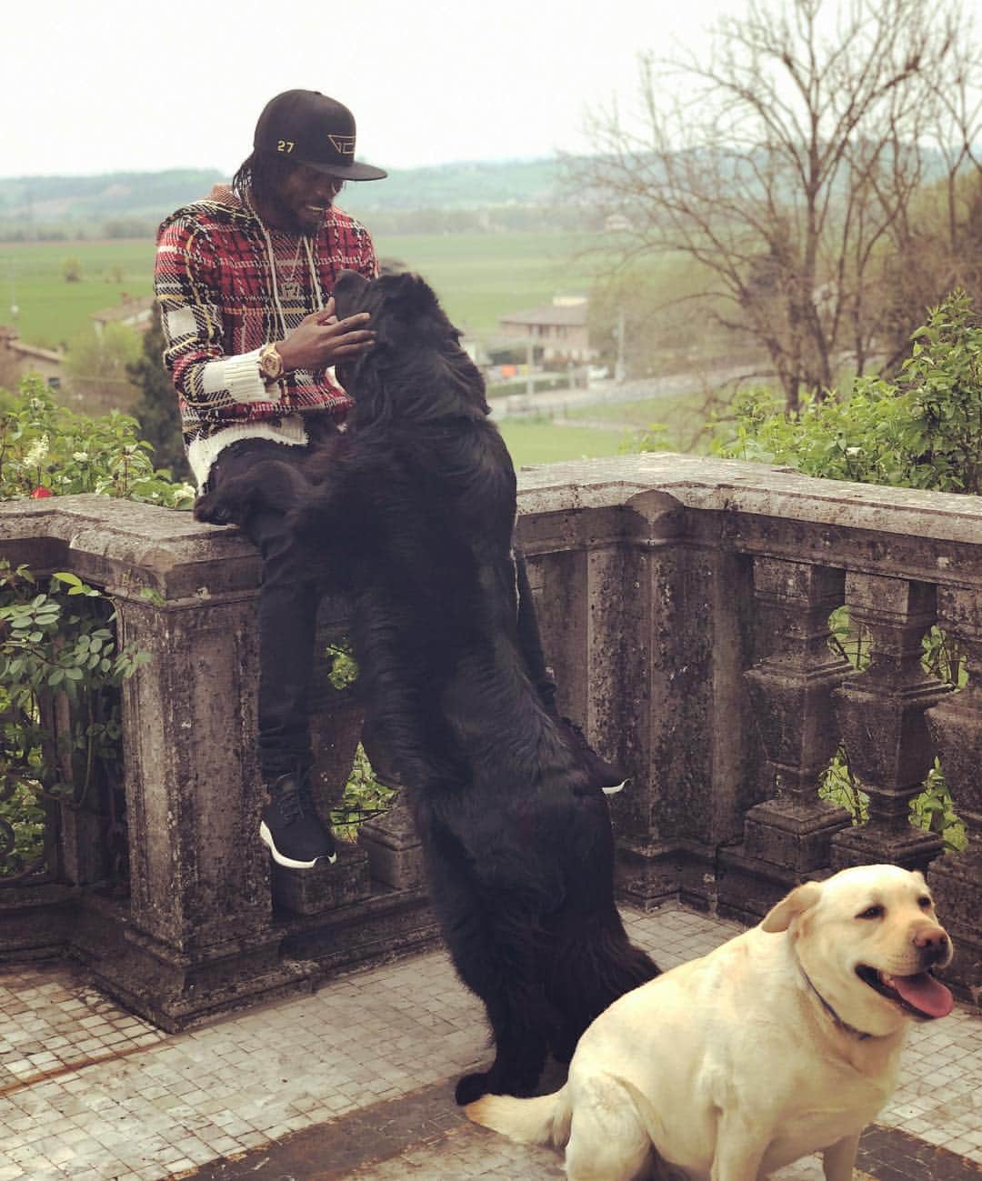 ジェルヴィーニョのインスタグラム：「🐶 🐕  The men’s best friend ⚪️⚫️ ____________________________________________________  #dog #dogsofinstagram #blackandwhite #black #white #happysaturday #insta #picoftheday #teamg27 #team225」