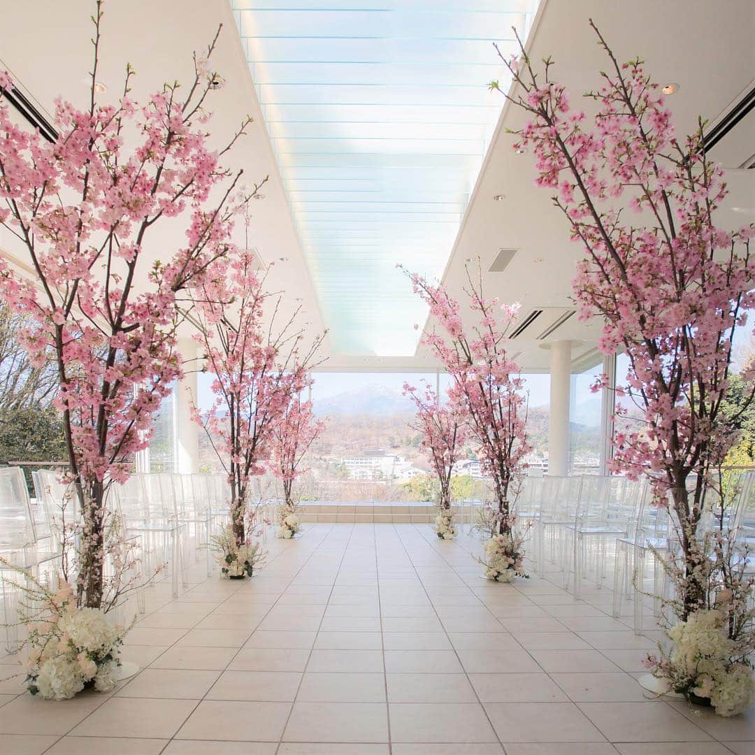 アマンダンヒルズのグルメインスタ