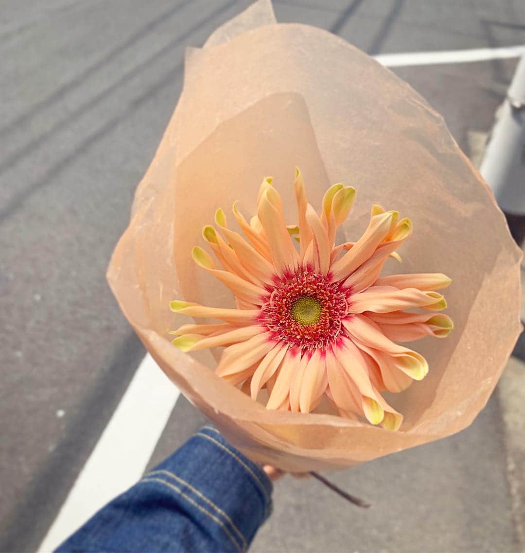 中村優さんのインスタグラム写真 - (中村優Instagram)「かわいいガーベラ見つけた🌼 花びらねじれてる。おしゃれやなぁ。 自分用には一輪だけ買うのがすき☺️」4月6日 20時40分 - nkmr_yu