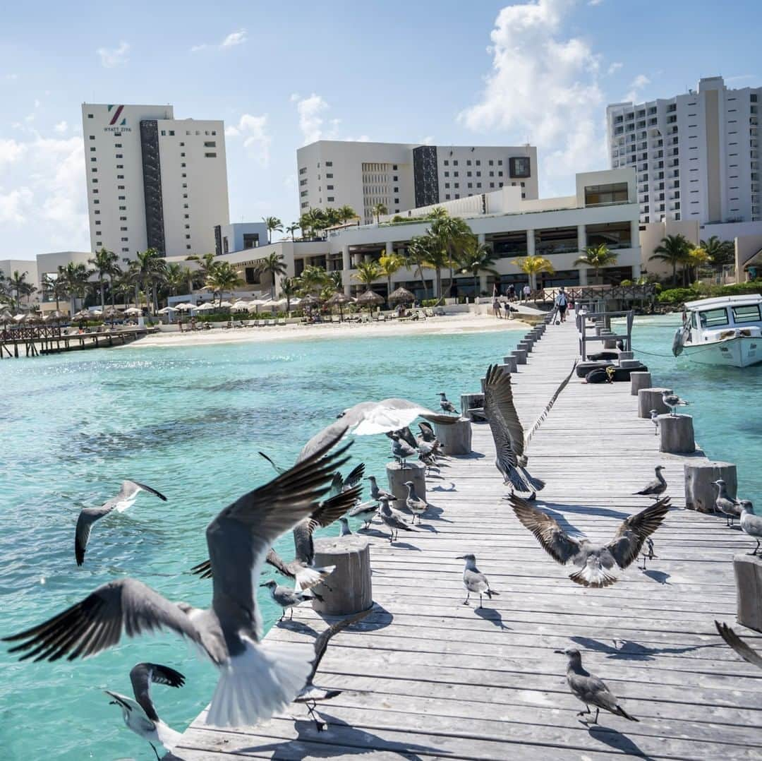 ルフトハンザさんのインスタグラム写真 - (ルフトハンザInstagram)「Boats swaying in the turquoise water, the bars right on the beach filled with travelers escaping the sun – Siesta in Cancún. #Lufthansa #CityOfTheMonth #Cancún」4月6日 21時00分 - lufthansa