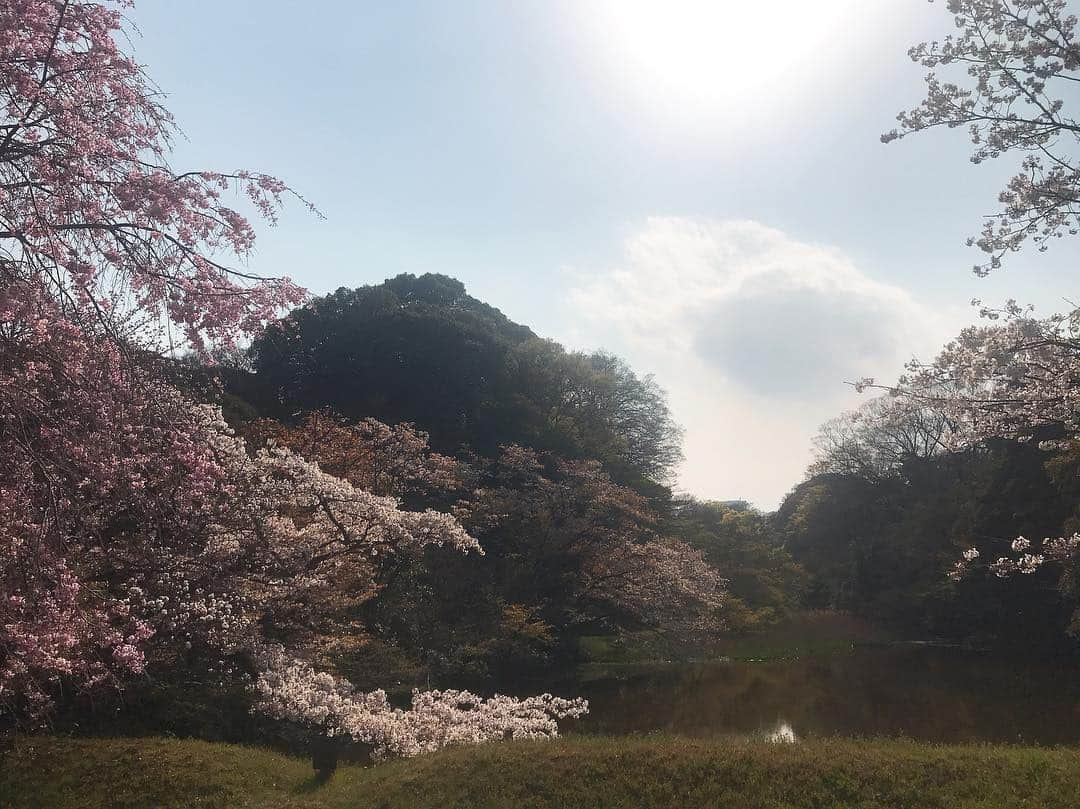 日下裕江さんのインスタグラム写真 - (日下裕江Instagram)「皇居乾通りの池と木々と空と桜🌸  清らかな空気が漂ってた✨  #皇居 #皇居乾通り #皇居乾通り一般公開 #皇居乾通り一般公開2019春 #平成最後の皇居乾通り一般公開」4月6日 20時58分 - hiroe___h