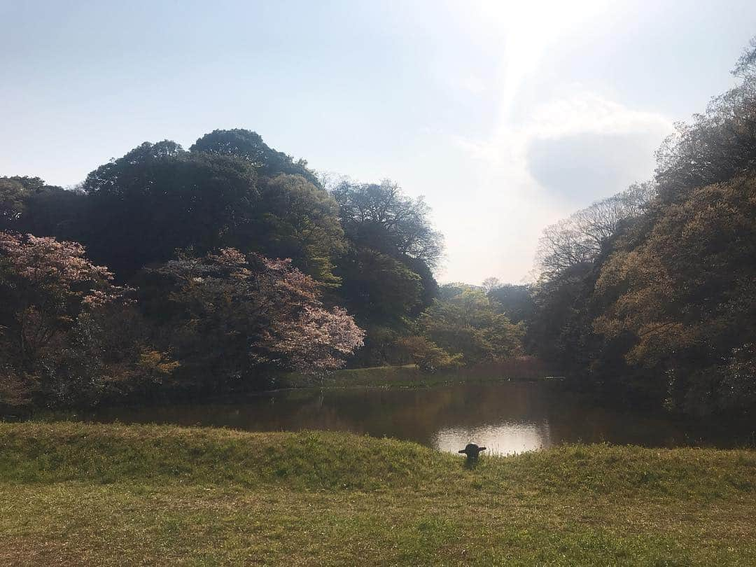 日下裕江さんのインスタグラム写真 - (日下裕江Instagram)「皇居乾通りの池と木々と空と桜🌸  清らかな空気が漂ってた✨  #皇居 #皇居乾通り #皇居乾通り一般公開 #皇居乾通り一般公開2019春 #平成最後の皇居乾通り一般公開」4月6日 20時58分 - hiroe___h