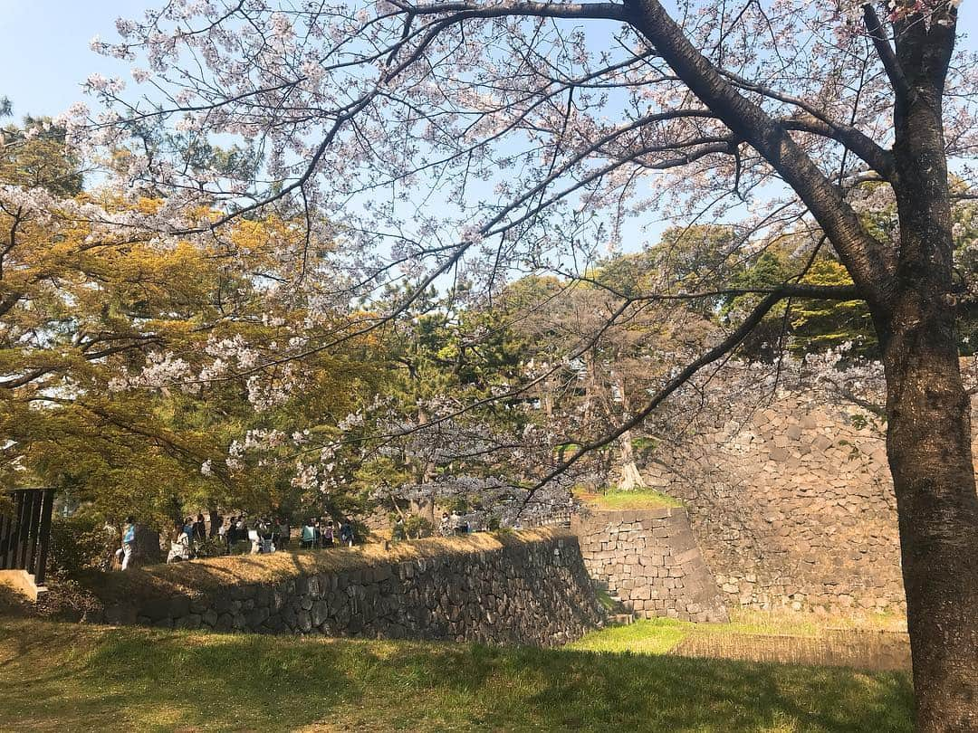 日下裕江さんのインスタグラム写真 - (日下裕江Instagram)「皇居乾通りの池と木々と空と桜🌸  清らかな空気が漂ってた✨  #皇居 #皇居乾通り #皇居乾通り一般公開 #皇居乾通り一般公開2019春 #平成最後の皇居乾通り一般公開」4月6日 20時58分 - hiroe___h