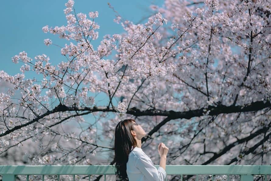 丸山裕理さんのインスタグラム写真 - (丸山裕理Instagram)「. 平成最後の桜 . The last cherry blossoms of the Heisei era. . #sakura #cherryblossom  #cherryblossomseason #hanami  #team_jp_flower #japan_of_insta  #discovertokyo #jp_mood #jp_portrait部  #tokyocameraclub #impression_shots #art_of_japan_ #flower_special_  #桜 #桜並木 #お花見 #面影橋 #広がり同盟 #お花見2019 #千鳥ヶ淵 #目黒川 #神田川」4月6日 21時08分 - yuri_maruyama1213