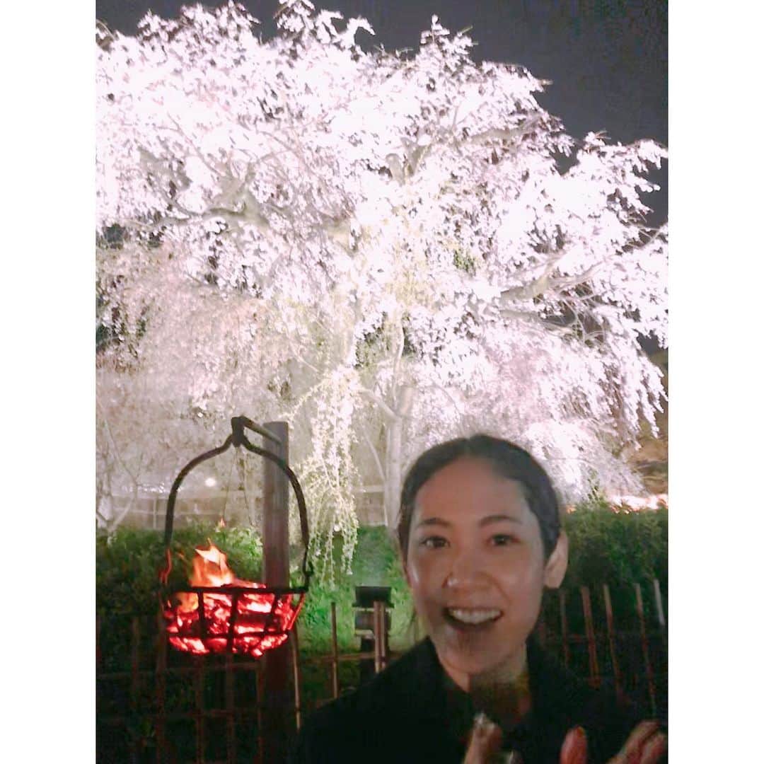 阿部純子さんのインスタグラム写真 - (阿部純子Instagram)「京都での撮影、 おかげさまで順調ですっ  撮影始まりに来た時はまだ蕾もなかったのに…🌸 咲いたー！💕 ・ #祇園の夜桜」4月6日 21時05分 - junkoabe_official