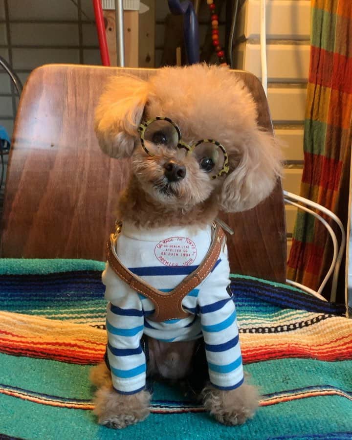 ❤︎Till❤︎のグルメインスタ