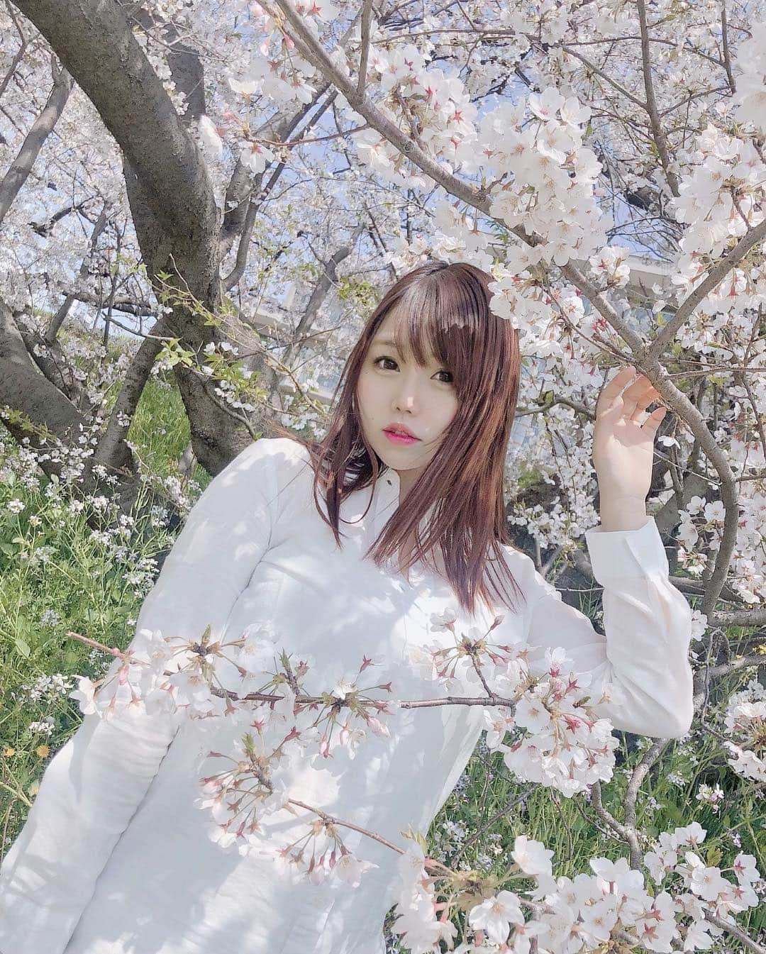 塚本舞さんのインスタグラム写真 - (塚本舞Instagram)「夢の中みたいな桜」4月6日 21時17分 - maipuni