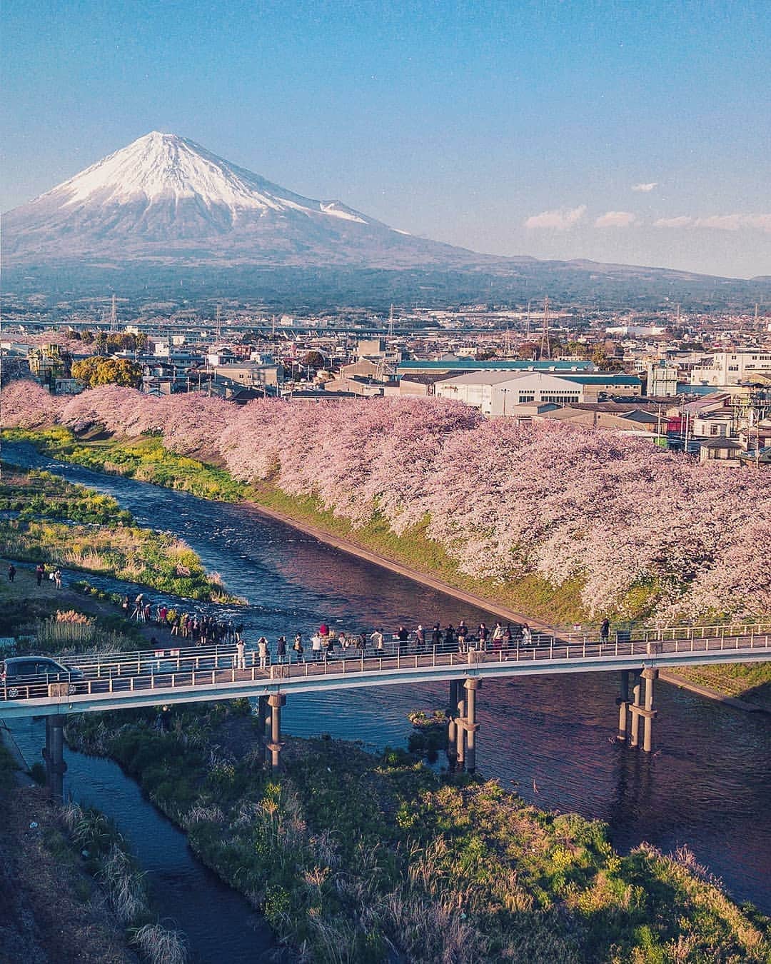 Berlin Tokyoさんのインスタグラム写真 - (Berlin TokyoInstagram)「🌸 Mt. Fuji overlooking the surrounding town as it welcomes the advent of spring, the most vibrant and joyful season of the year. . I haven't seen cherry blossoms blooming in Japan last six years because I moved to Berlin and I didn't have a chance to get back here in spring time. Finally I'm here for shooting Sakura trees and enjoying spring. You can imagine how happy I am :) . 📍Mt. Fuji, #japan . . . #whpfavoritecolor 🌸@instagram」4月6日 21時26分 - tokio_kid