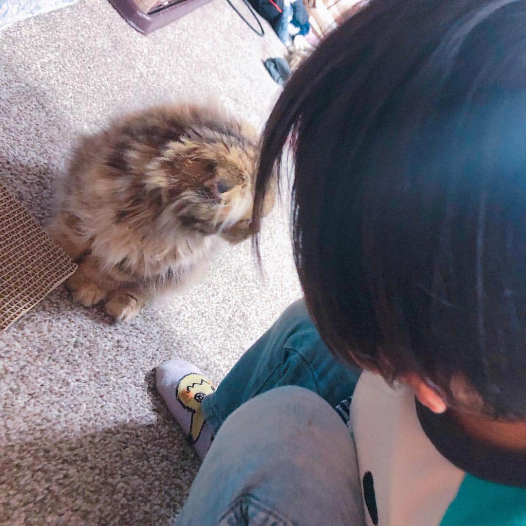 あやなんさんのインスタグラム写真 - (あやなんInstagram)「お出かけの帰りにちらっとまほとやんのとこ寄ってきた〜👻 ぽんしゅとクロエたん初対面🐱💕 人懐っこくてかわいかった( ；꒳​； )」4月6日 21時20分 - ayachan_0619