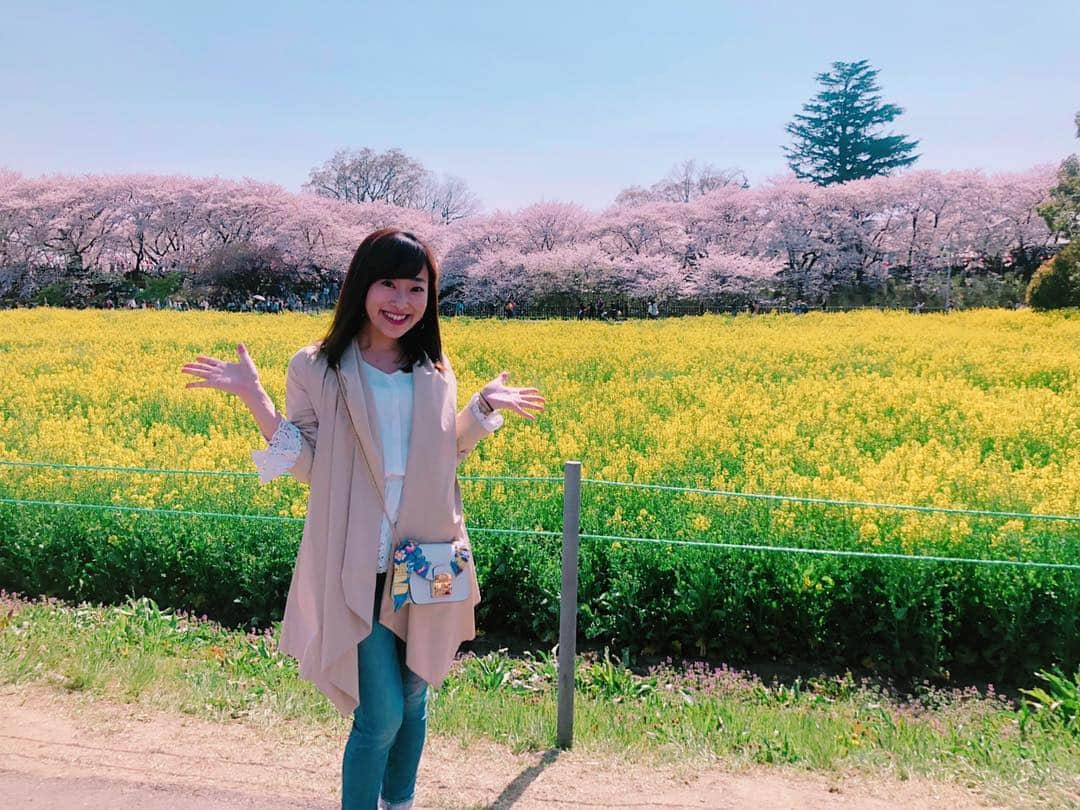 落合由佳さんのインスタグラム写真 - (落合由佳Instagram)「🌸 埼玉県幸手市 権現堂公園の桜堤に行ってきました☺︎✨✨ 2019.4.6.お天気にも恵まれ、サイコーのお花見👍 . テレ玉のニュースでも伝えてますし、キー局でも取り上げられていて…生で見たかったので、念願叶いました🥰 埼玉の誇るべき名所🌸🌸🌸 . . #幸手権現堂桜堤 #権現堂 #お花見  #2019 #埼玉 #spring #cherryblossom #桜 #菜の花」4月6日 21時22分 - yuka.ocha