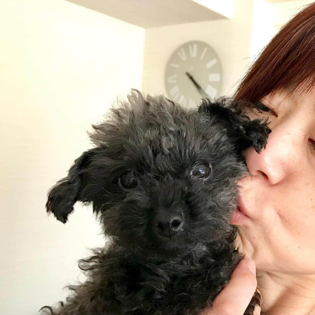 神野美伽さんのインスタグラム写真 - (神野美伽Instagram)「I love  ニコちゃん 💗」4月6日 21時23分 - mika_shinno_japan