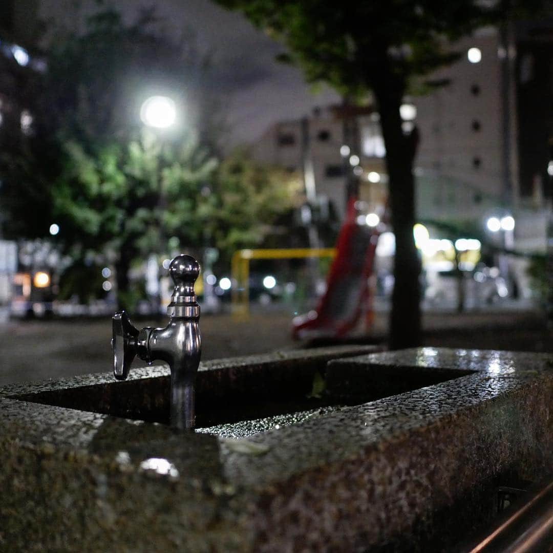 露崎義邦さんのインスタグラム写真 - (露崎義邦Instagram)「銀艶」4月6日 21時34分 - tsuyuzaki_yskn