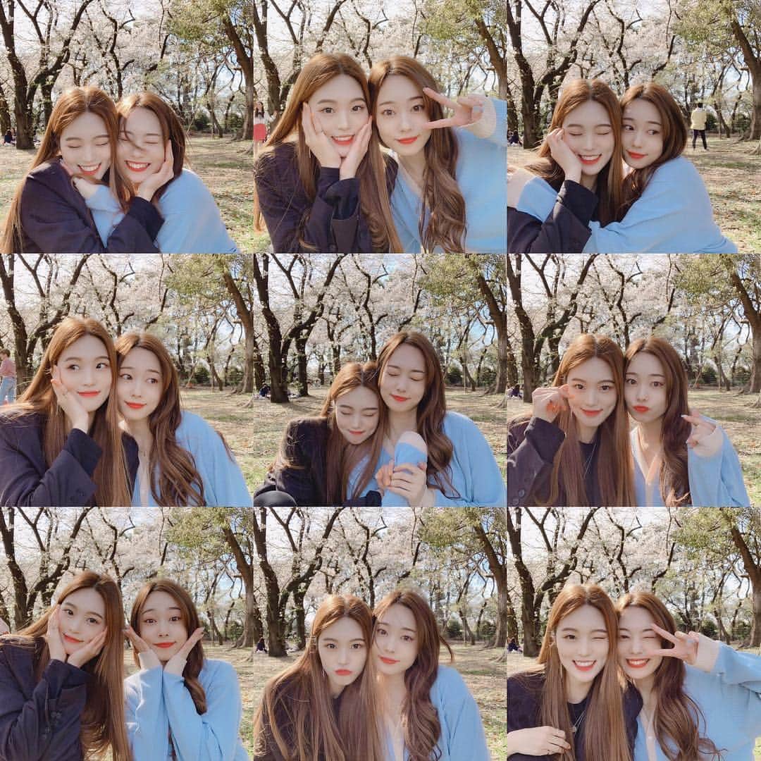 新原愛加のインスタグラム：「. お花見できないと思ってたから できて嬉しかった~🌸🌸 ずっと会いたかった友達と…❤︎ しあわせな時間😌💕」