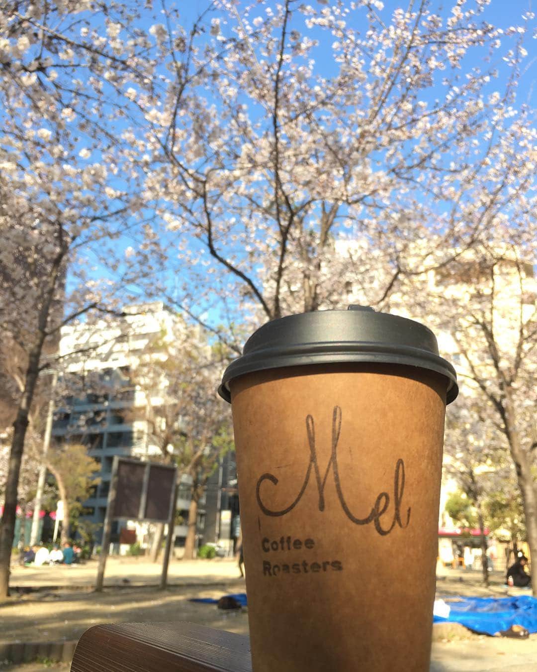 Mel Coffeeのグルメインスタ