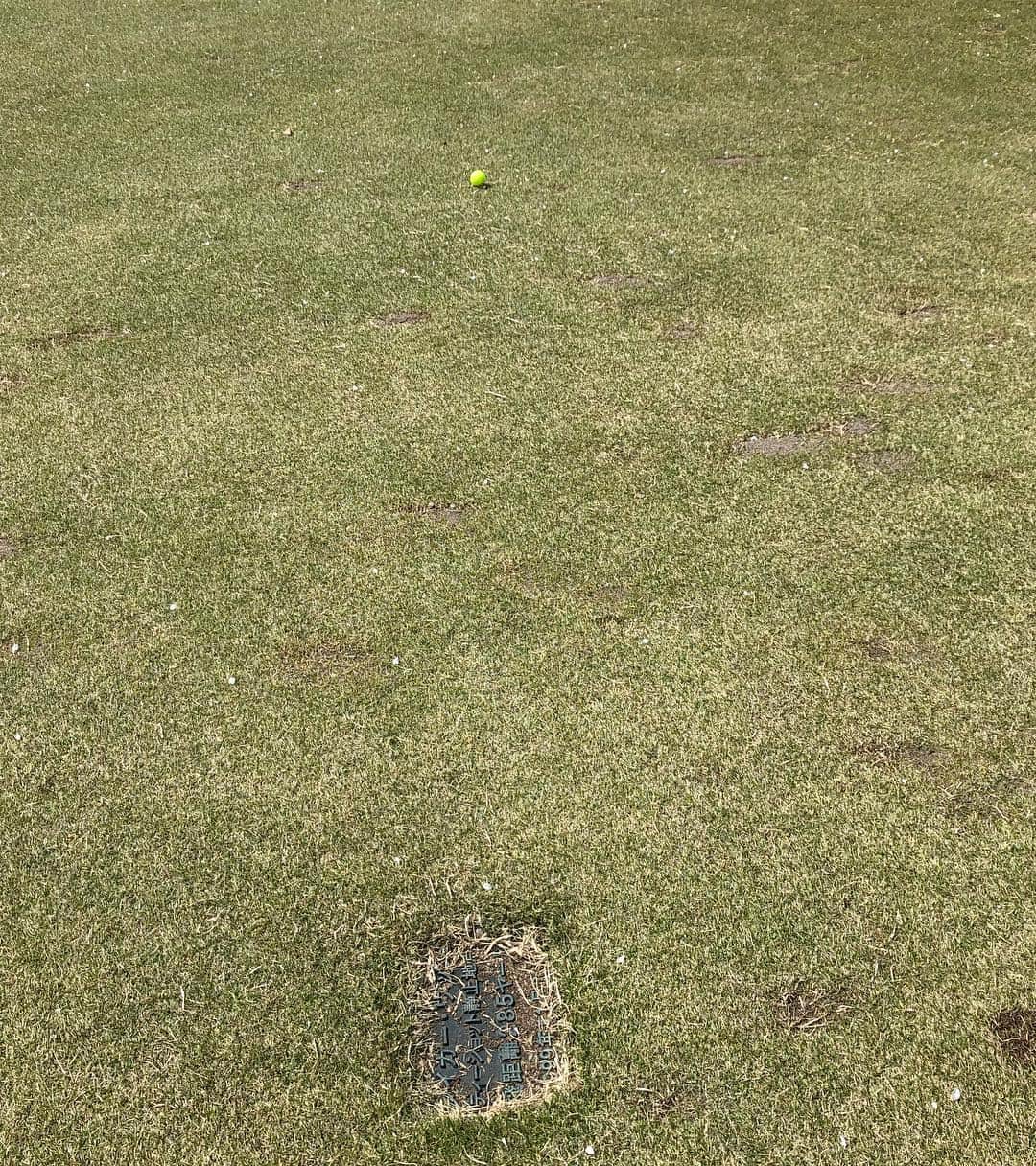 高橋としみさんのインスタグラム写真 - (高橋としみInstagram)「FUTURE GOLF TOURE 2019 プロアマ大会の写真と動画😊 ちーちゃんと前日2人でお泊り✨ 寝不足になるよねー（笑） . 前半は池村プロと後半は増田プロと ハーフをご一緒しました！！ 男子プロは初めて間近で見たけど ショット、スピード、音！ 圧倒されました😊 お二人とも気さくで優しくて すごく楽しかった✨✨✨ . パーティー終わって石川プロとも お写真撮ってもらったよ😊 . ドライバーがタイガーウッズと 同じ飛距離でした🏌️‍♀️ もちろんレディースティーから😂 . ウェア @standrews_jp  ワンピースじゃなくてセットアップ 別々にも着れるのでコーディネートが広がる✨ . #ゴルフ#ゴルフ女子#セントアンドリュース#standrews#パーリーゲイツ」4月6日 21時40分 - toshimi_1002