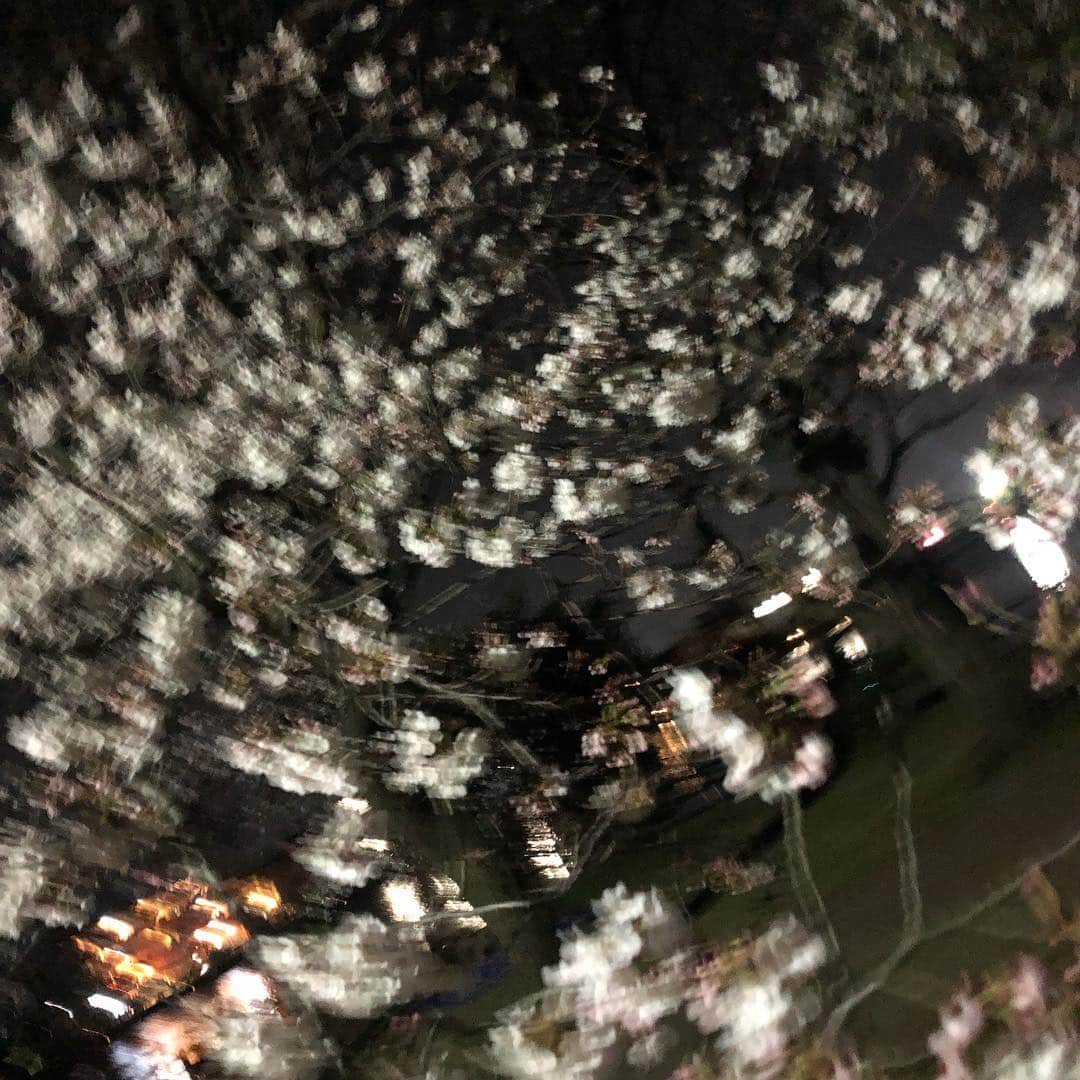 KIYOさんのインスタグラム写真 - (KIYOInstagram)「夜桜見物してきました‼︎ #夜桜 #cherryblossom #japan #anime #manga #gspeedboys」4月6日 21時43分 - kiriko009