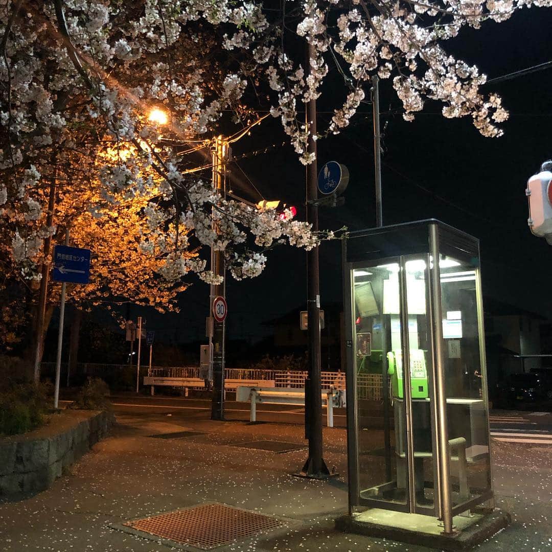 KIYOのインスタグラム