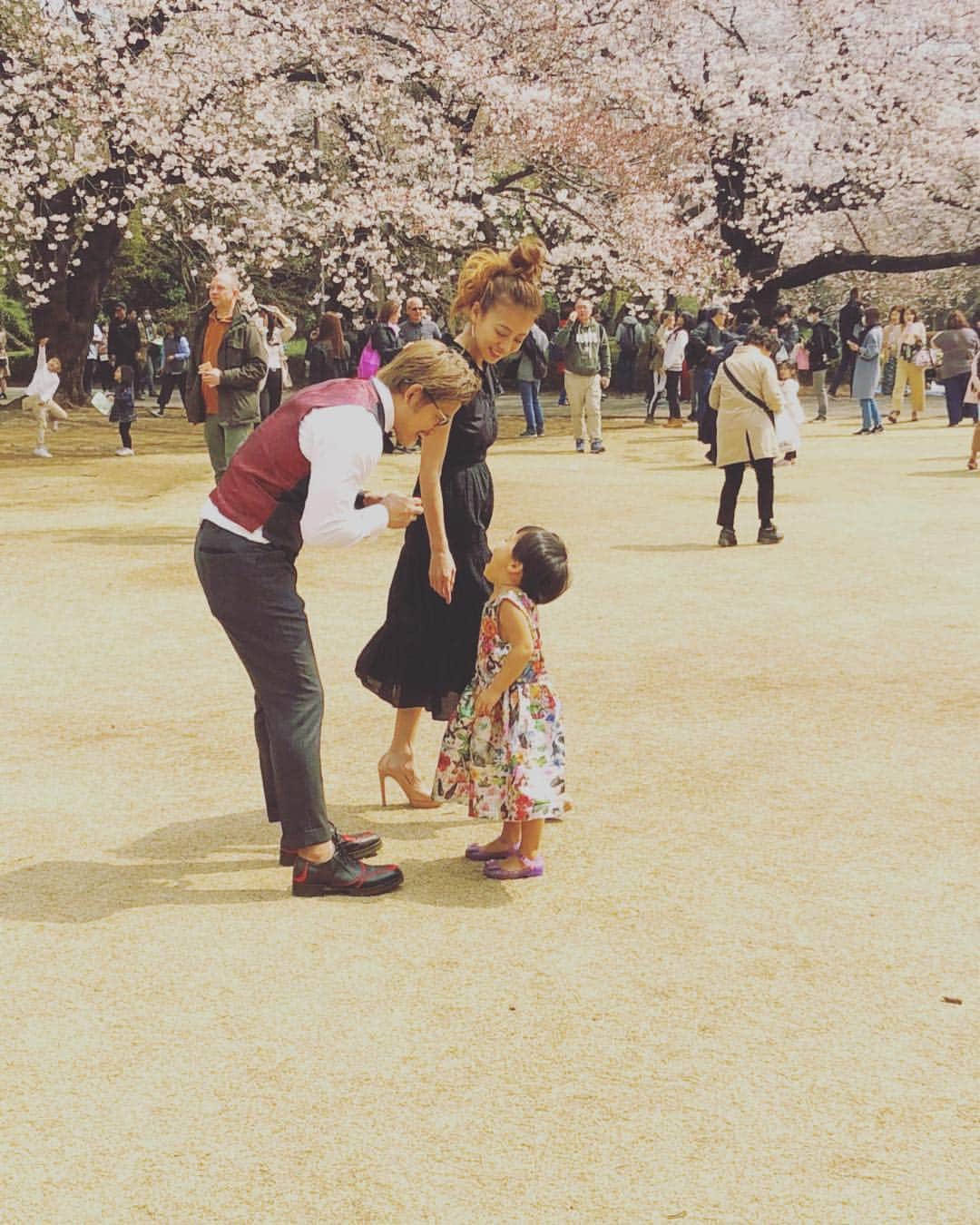あびる優さんのインスタグラム写真 - (あびる優Instagram)「家族写真👨‍👩‍👧🌸💕 #家族#親子#夫婦#娘#愛娘#四葉のクローバー#愛しい#かわいい#癒し#幸せ#桜#さくら#サクラ#家族写真#思い出#family#husband#daughter#clover#cute#fun#smile#happy#sakura#hanami#love#memory」4月6日 21時46分 - yuabiru74
