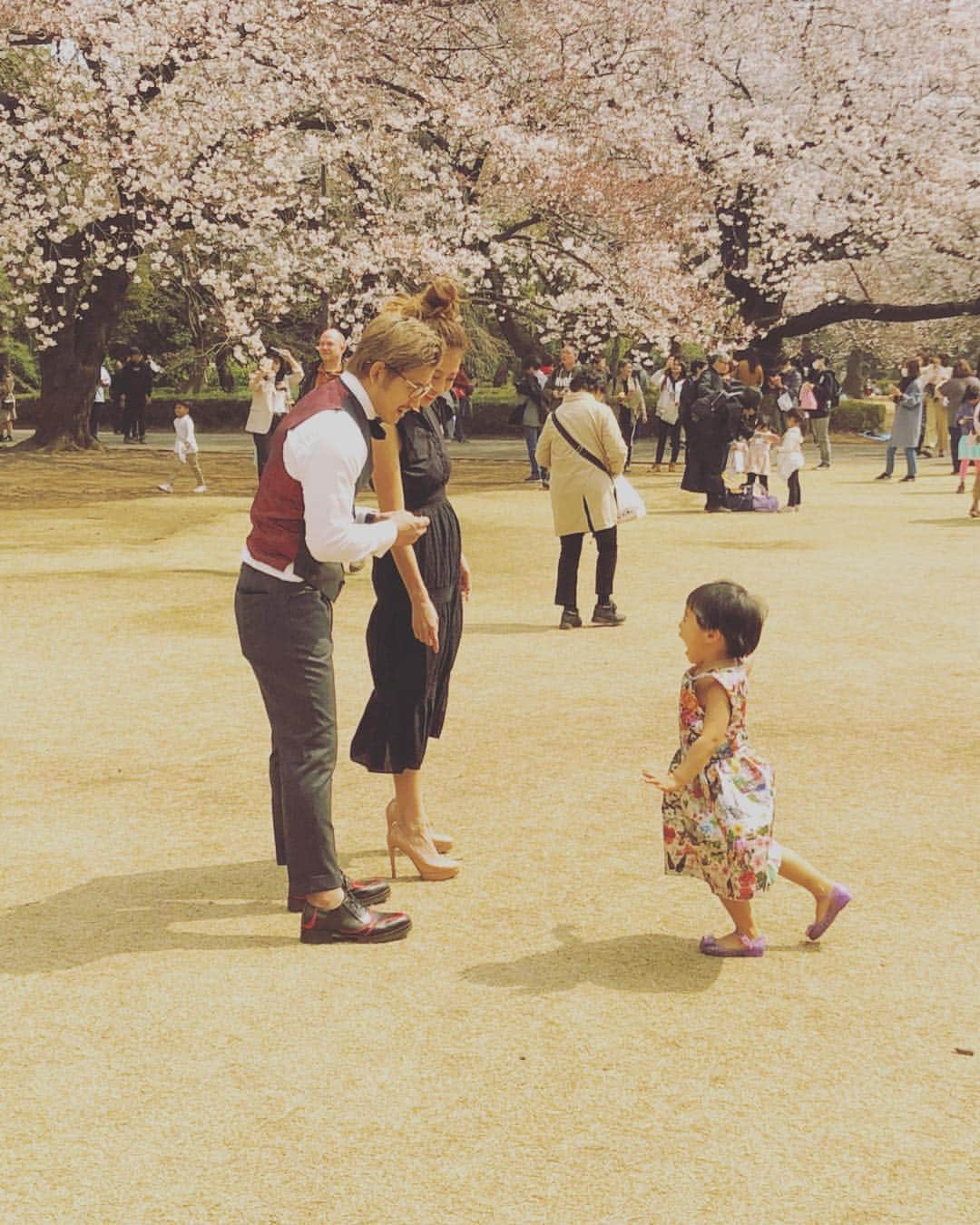 あびる優さんのインスタグラム写真 - (あびる優Instagram)「家族写真👨‍👩‍👧🌸💕 #家族#親子#夫婦#娘#愛娘#四葉のクローバー#愛しい#かわいい#癒し#幸せ#桜#さくら#サクラ#家族写真#思い出#family#husband#daughter#clover#cute#fun#smile#happy#sakura#hanami#love#memory」4月6日 21時46分 - yuabiru74
