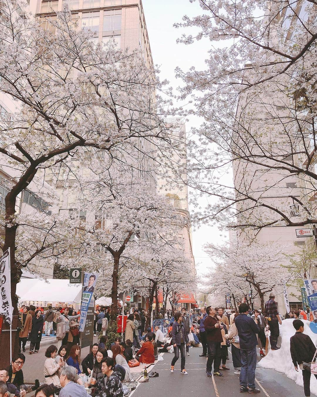 佐藤弥生さんのインスタグラム写真 - (佐藤弥生Instagram)「🌸 打ち合わせへ お庭に沢山ある桜を見ながら 打ち合わせ中に眠くなってしもうた... 帰りは東京駅から 焼き鳥を頬張りながらテクテクと ビール恋しや〜 #桜#🌸#sakura」4月6日 21時48分 - yayoyayo_s