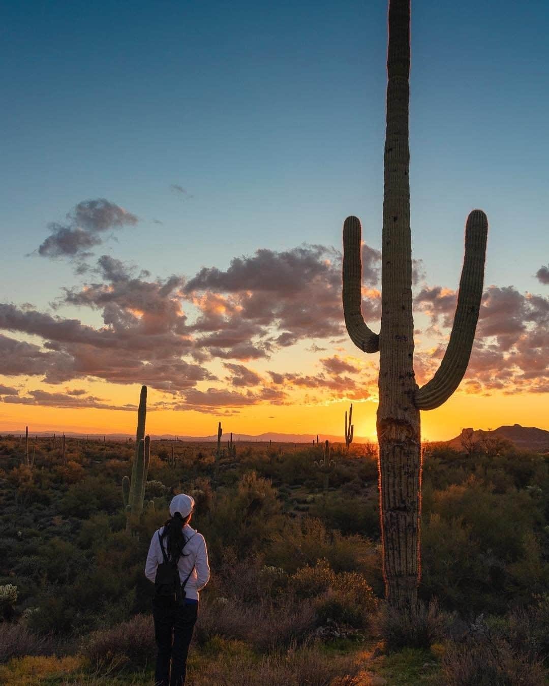 REIさんのインスタグラム写真 - (REIInstagram)「The company of nature reminds us of our place in the world.  Photo: @myadventures.in.nature in Superstition Mountains, #Arizona. #OptOutside」4月6日 22時00分 - rei