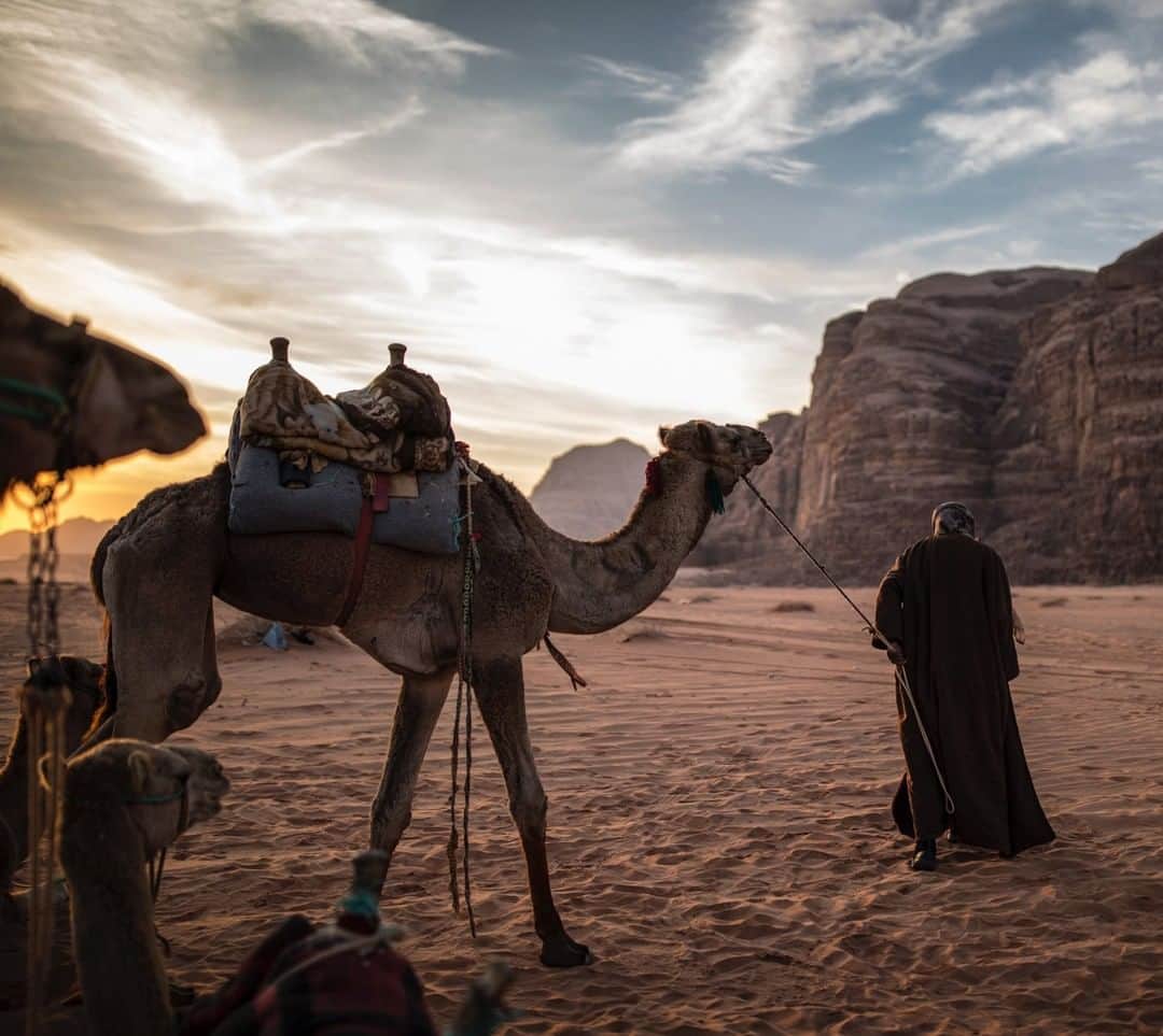 National Geographic Travelさんのインスタグラム写真 - (National Geographic TravelInstagram)「Photo by Muhammed Muheisen @mmuheisen | A herder and his camels set out early morning in Wadi Rum, also known as the Valley of the Moon, cut into the sandstone and granite rock of southern Jordan. For more photos and videos from different parts of the world, follow me @mmuheisen and @mmuheisenpublic #muhammedmuheisen #Jordan #الاردن」4月6日 22時01分 - natgeotravel