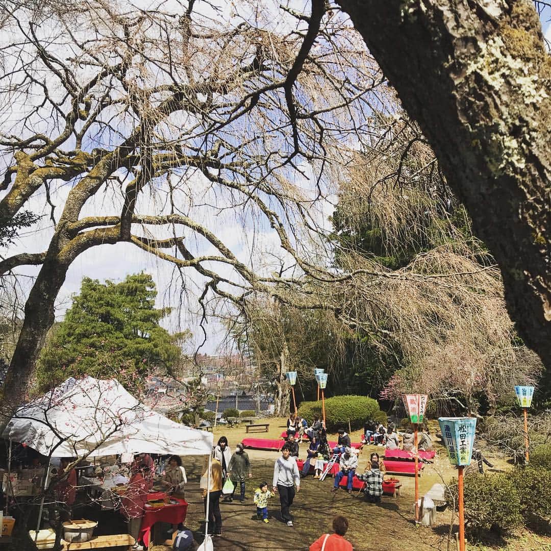 三浦友加さんのインスタグラム写真 - (三浦友加Instagram)「湯田川温泉 梅まつり @梅林公園 この冬、私も研修に参加しました鶴岡ふうどガイドの3期生のデビューの場であり、地元出身でありながら初めてこちらのお祭りにお邪魔しました。 なんとも渋めな温泉街の奥の小さいお山は、急な階段をちょっと登ると、日本むかし話に出てくるような梅と情緒溢れるお地蔵様や竹林も拝めて、また鶴岡のとっておきの場所を発見した気分になりました。  梅を見ながら、今年初の孟宗汁、女将さん達によるお抹茶、ひょっとこまんじゅう、激うまでございました。鶴岡シルクの梅の木染め、大変おすすめです。明日は庄農うどん、湯田川温泉の神楽も登場だそうです！詳しくはこちらをご覧下さい。明日もいぎでなぁ。。 湯田川温泉 梅まつり情報 湯田川温泉観光協会HP http://www.yutagawaonsen.com/  #湯田川温泉 #梅まつり #山形 #山形県鶴岡市」4月6日 21時53分 - miurayuka