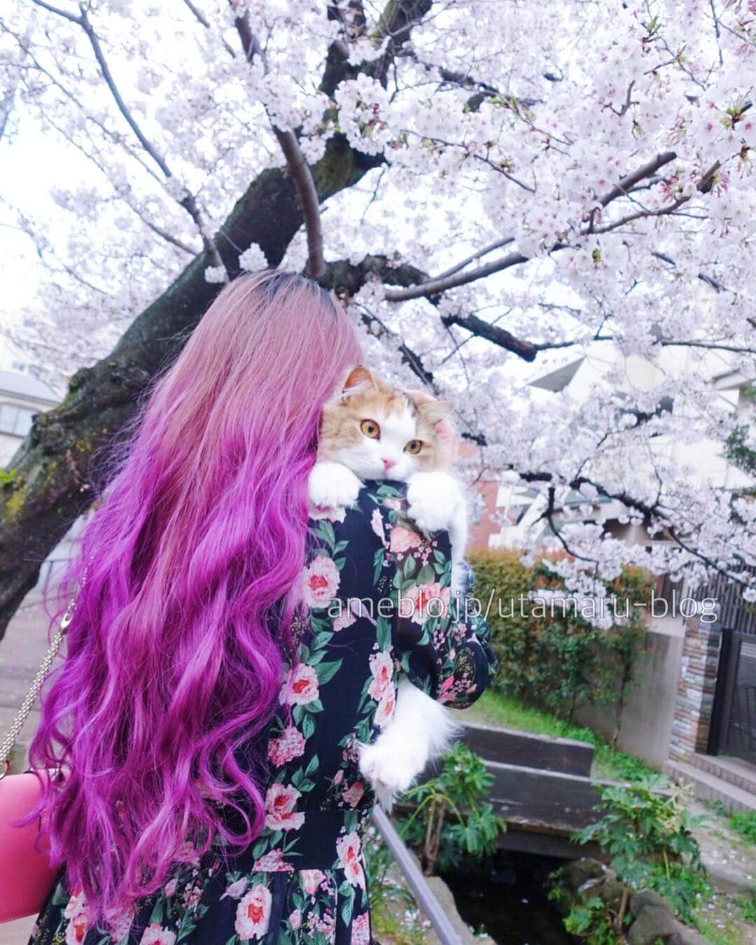 詩丸さんのインスタグラム写真 - (詩丸Instagram)「初めてのお花見🌸💕 .」4月6日 21時58分 - utamaruru