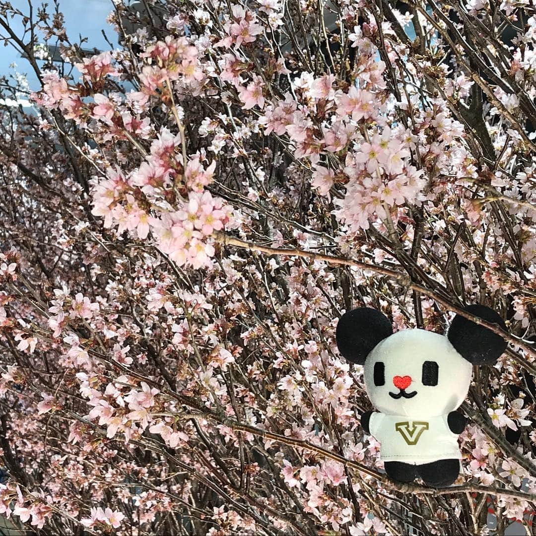 テレ朝newsのインスタグラム
