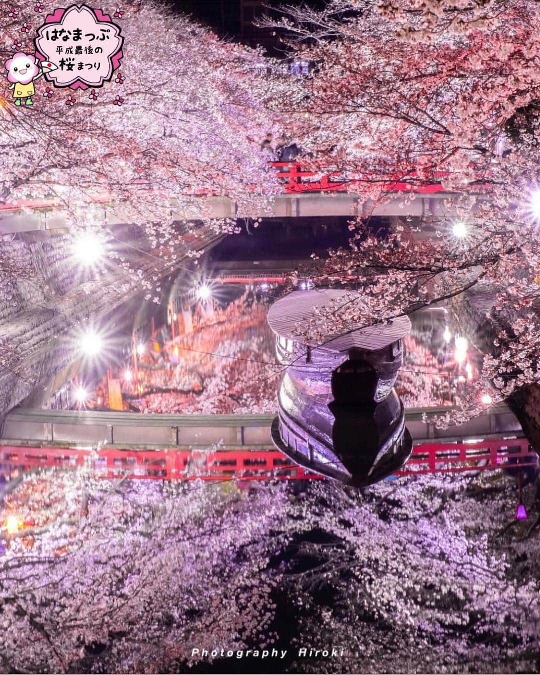 はなまっぷ❁日本の花風景さんのインスタグラム写真 - (はなまっぷ❁日本の花風景Instagram)「🍃🌸はなまっぷ平成最後の桜まつり🌸🍃 * @roki6902f さんの 平成の桜に花まるを💮 * 平成を彩る日本の美しい桜をありがとうございます😊🌸🍃 * 岐阜  #奥の細道むすびの地 Ogaki, Gifu Pref. * 見頃を過ぎている場所もご紹介しています。 お出かけの際はHP等で最新の情報をご確認くださいね🙏🌸🍃 * 🌸•••🍃•••🌸•••🍃•••🌸•••🍃•••🌸 * 🌸桜まつり概要🌸 * 期間:平成最後の日まで タグ:#はなまっぷ * #はなまっぷ  のタグの中から、桜のお写真をどんどんご紹介させていただきます。期間中はランダムに、複数枚投稿でもご紹介させていただく場合がございます。 * #桜#sakura#花見#さくら#日本#春#花#平成最後の#満開#夜桜#リフレクション * 🌸•••🍃•••🌸•••🍃•••🌸•••🍃•••🌸 * はなまっぷより * 💌LINEスタンプ「はなまっぷちゃん」絶賛発売中！みなさんのLINEにも花まるを💮 💌はなまっぷ本、Amazonや全国の書店さんで満開です！ぜひお手にとっていただけると嬉しいです🌸 * LINEスタンプ、はなまっぷ本は、プロフ欄記載のTwitterアカウントよりご確認ください。 * 🌸•••🍃•••🌸•••🍃•••🌸•••🍃•••🌸 *」4月6日 22時08分 - hanamap
