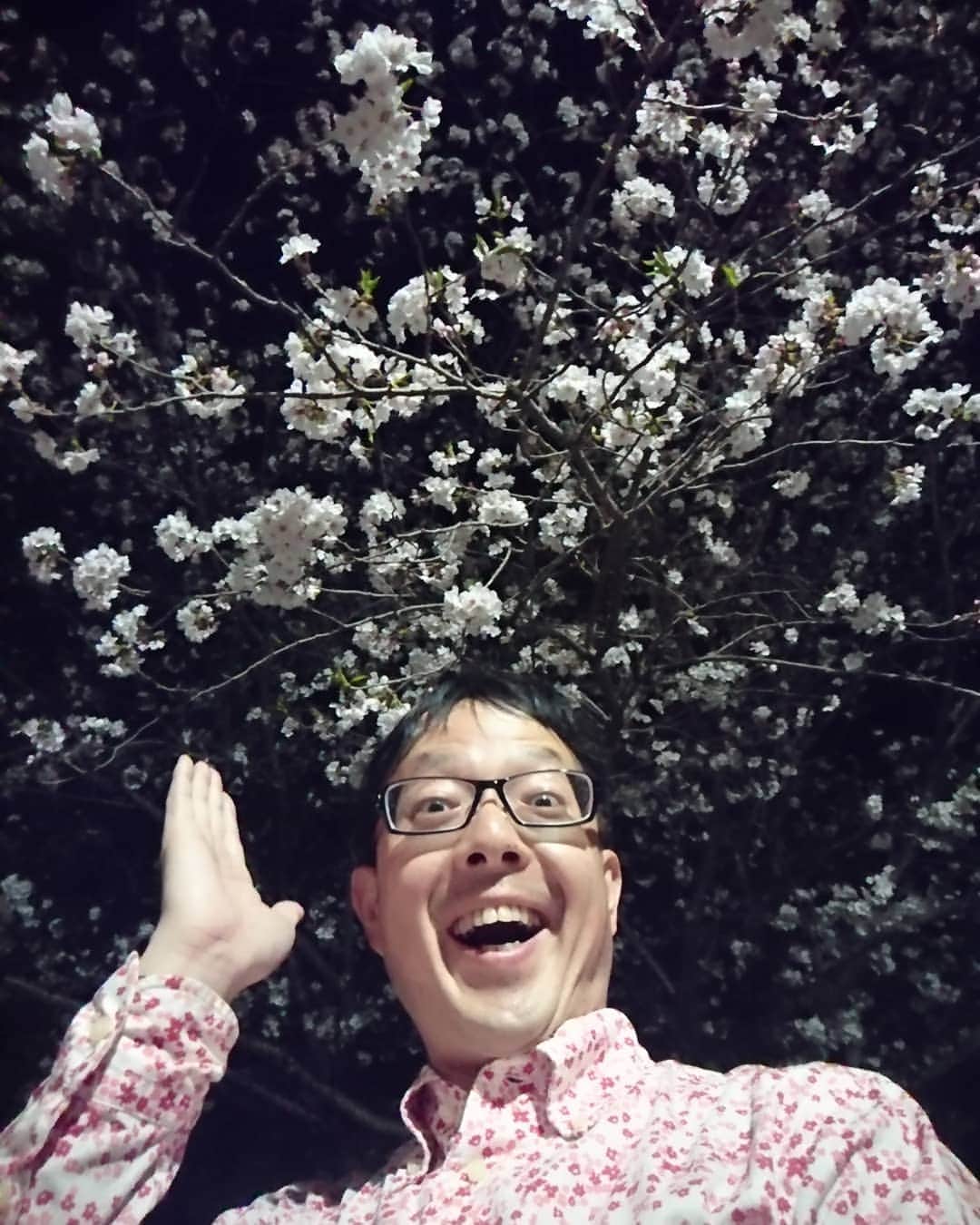 粉川真一さんのインスタグラム写真 - (粉川真一Instagram)「夜桜満開！ いらっしゃ～い！」4月6日 22時18分 - mrt.kokawa