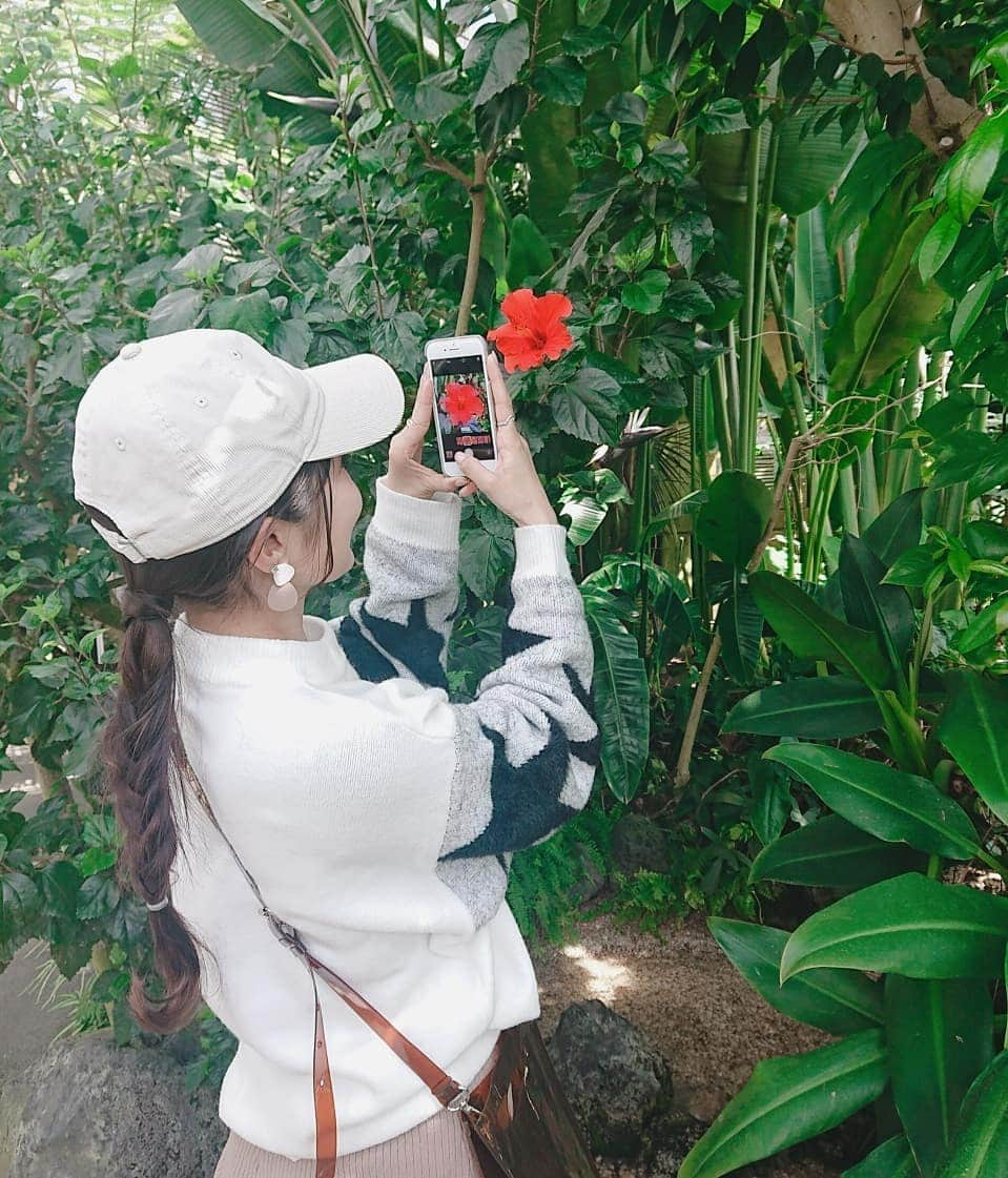 岩野理沙さんのインスタグラム写真 - (岩野理沙Instagram)「遊んだ🐈❤️ #桜  #春  #spring  #佐野植物公園  #oita  #草すべり  #滑り台  #追いつけなかった  #Flower  #さぼてん」4月6日 22時17分 - risaiwano