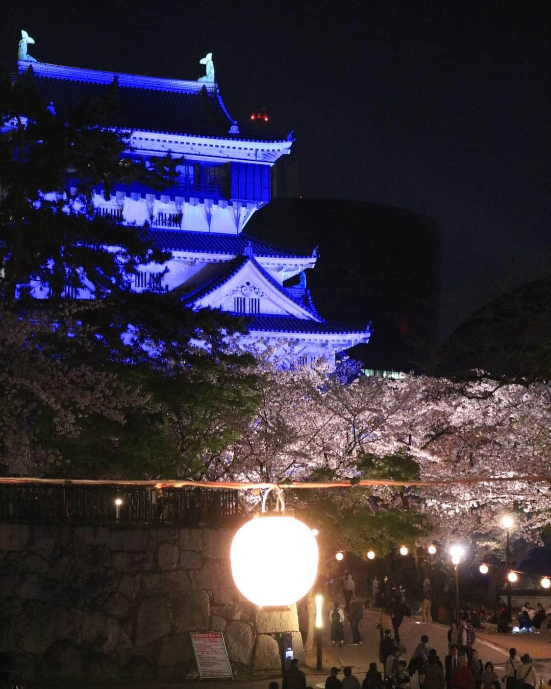 yupinokoさんのインスタグラム写真 - (yupinokoInstagram)「こんばんは☺︎ . . 小倉城🏯夜桜🌸 綺麗でしたー✨ . . #小倉城  #夜桜  #ライトアップ #お花見 #お出かけ記録」4月6日 22時28分 - yupinoko