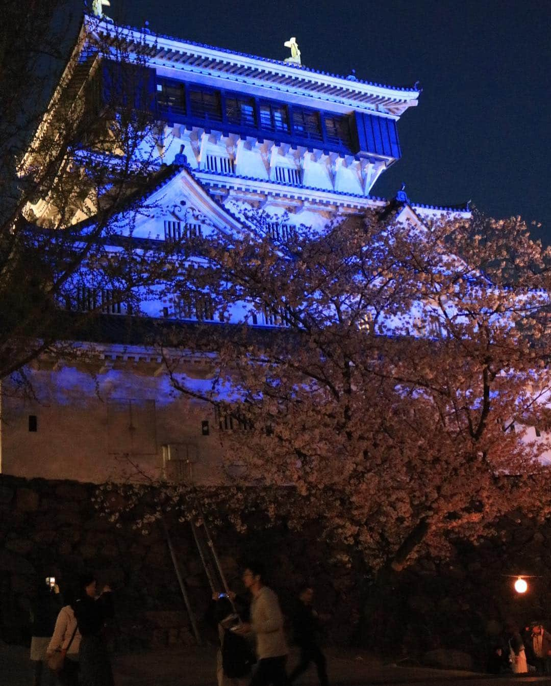 yupinokoさんのインスタグラム写真 - (yupinokoInstagram)「こんばんは☺︎ . . 小倉城🏯夜桜🌸 綺麗でしたー✨ . . #小倉城  #夜桜  #ライトアップ #お花見 #お出かけ記録」4月6日 22時28分 - yupinoko