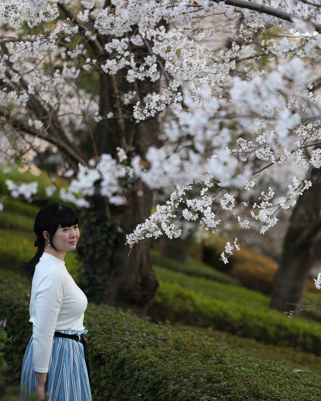 しずかちゃんさんのインスタグラム写真 - (しずかちゃんInstagram)「桜 ・ きれいだったなぁ ・ #しずかちゃん#やさしいライン#girls#温泉モデル#公園#park#model#だらしないからだ#散歩#walk#asianbeauty#womanportrait#japanesesexygirls#日本人#女の子#japan#japanese#おしゃれ#しまらー#桜#サクラ#cherryblossm#夕暮れ#春の陽射し#昼下がり#春#spring#trip#笑顔#smile」4月6日 22時31分 - ch.shizuka