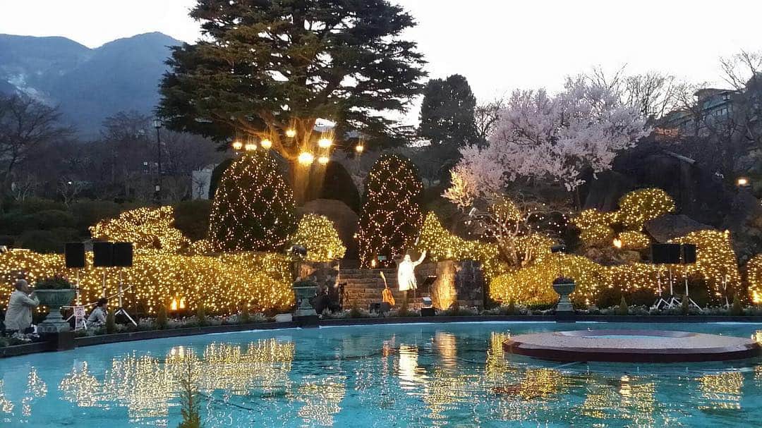 LOVEのインスタグラム：「なんだかこう見るとゴージャスな。 100年の庭園。 すばらしいボタニカルガーデンだった！ 今後バラや藤の季節もすばらしいだろうなあ。 2nd setはとっぷりと日も暮れ。素敵な場所でした。  ありがとうございました！」